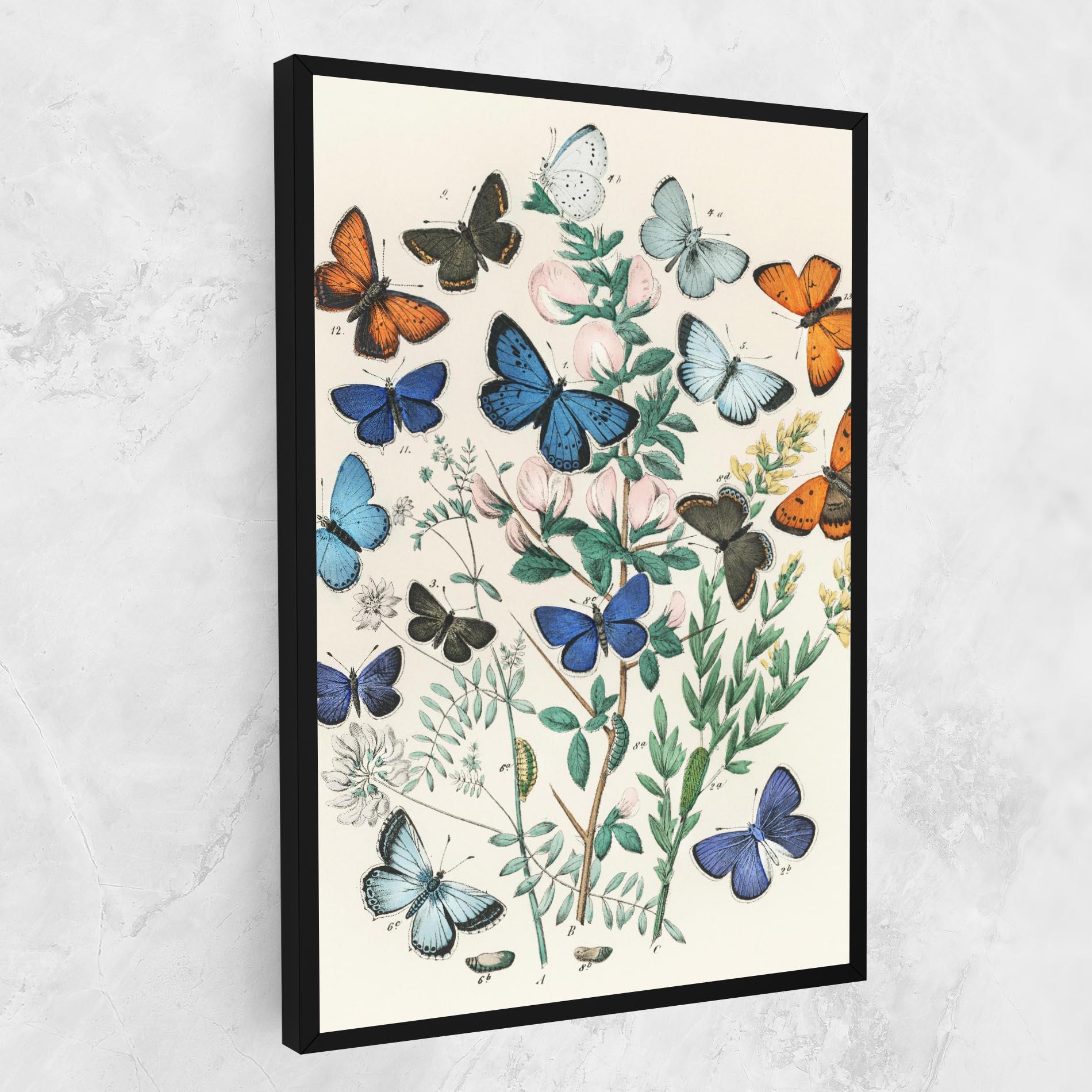 Vászonkép Blue Orange Butterflies mockup 1