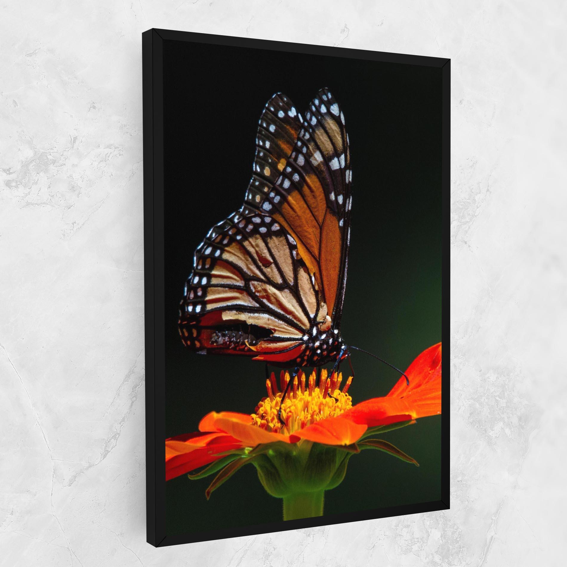 Vászonkép Dark Orange Butterfy mockup 1