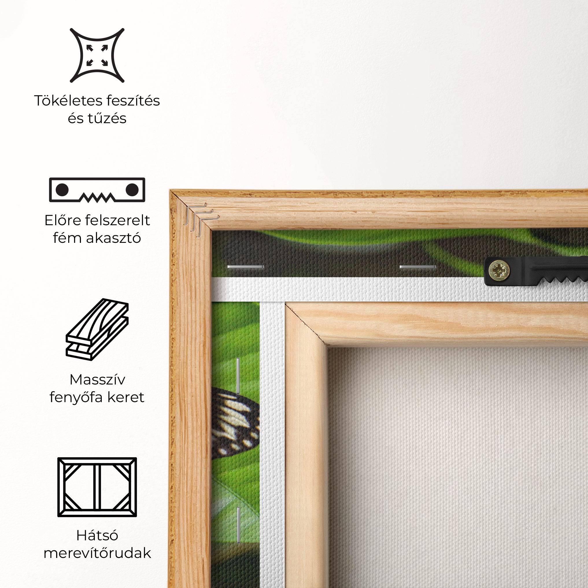 Vászonkép Beautiful White Butterfly mockup 5