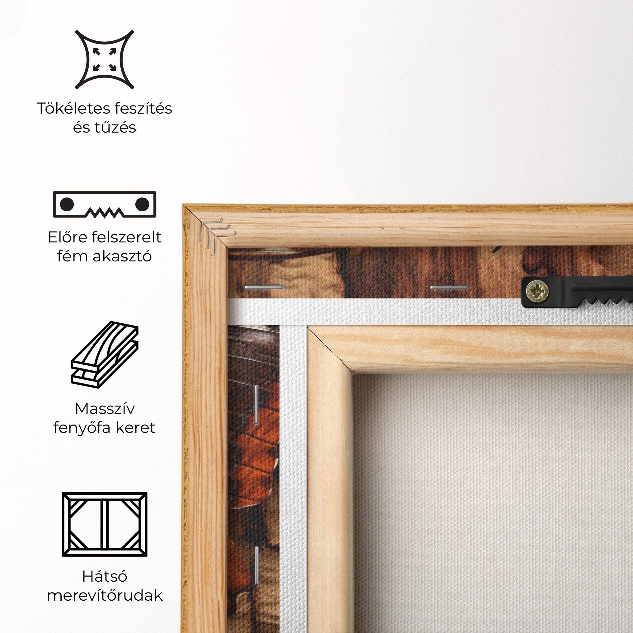 Brown Eyes Butterfly mockup 5