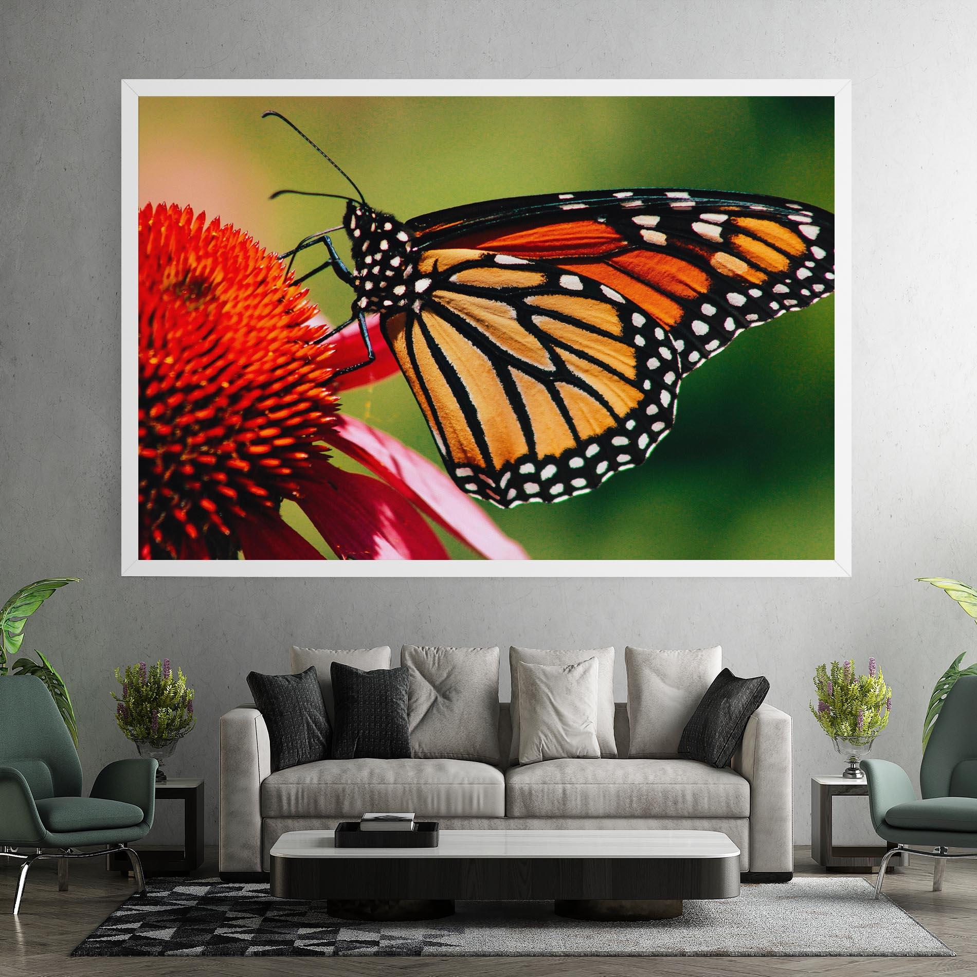 Vászonkép Big Orange Butterfly mockup 7