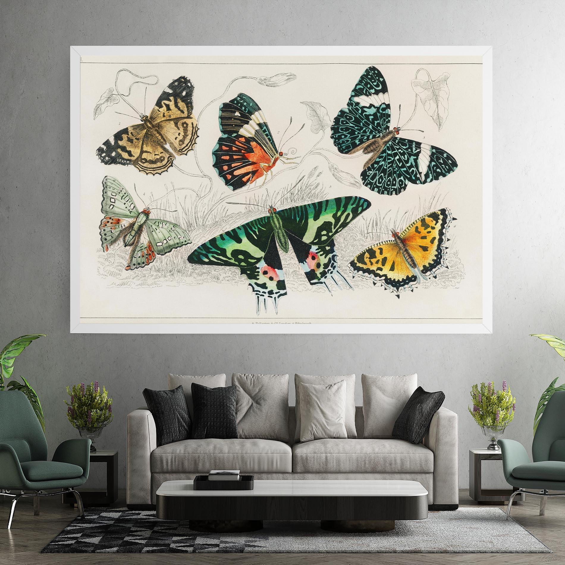 Vászonkép Butterfly Art mockup 7