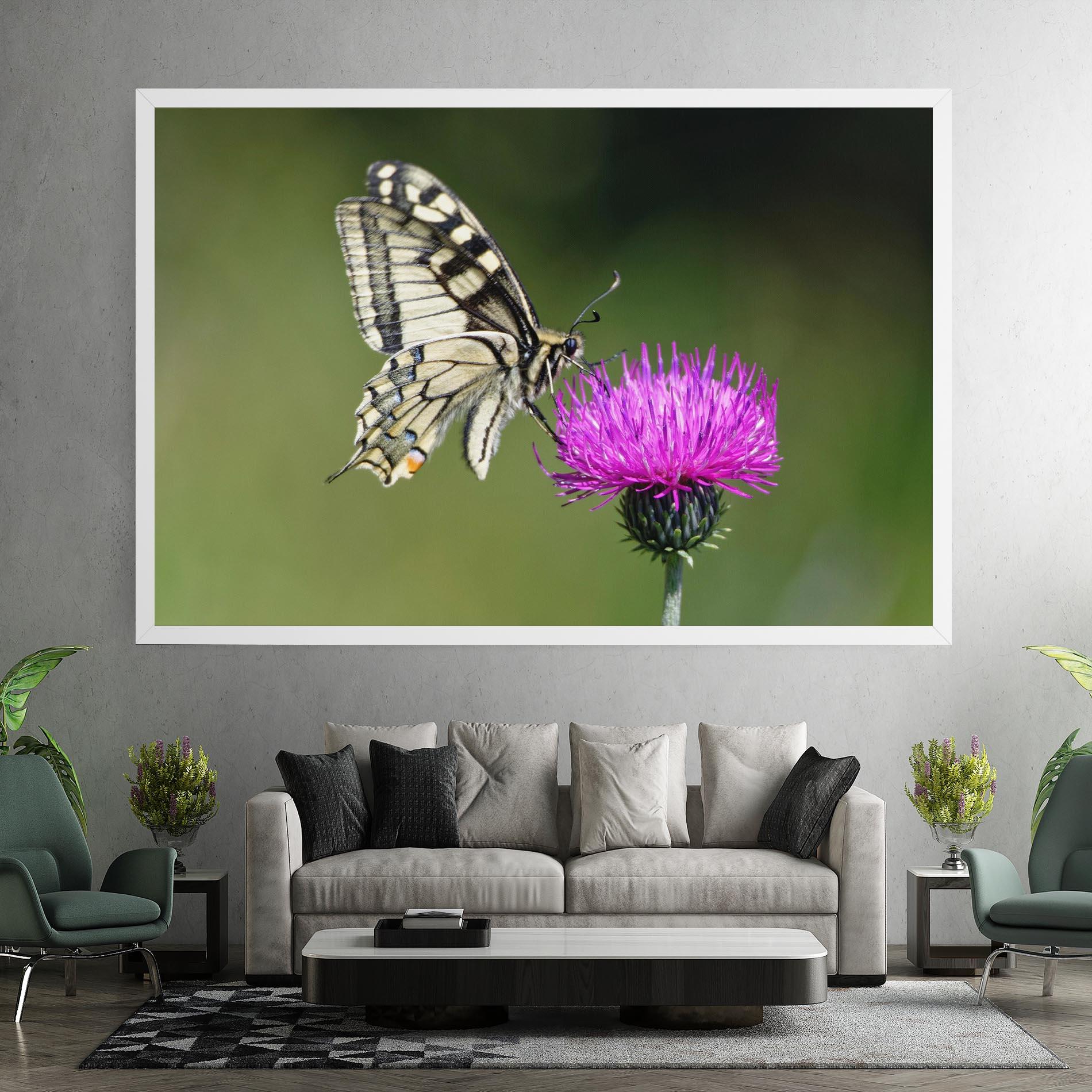 Vászonkép White Butterfly Pollen mockup 7