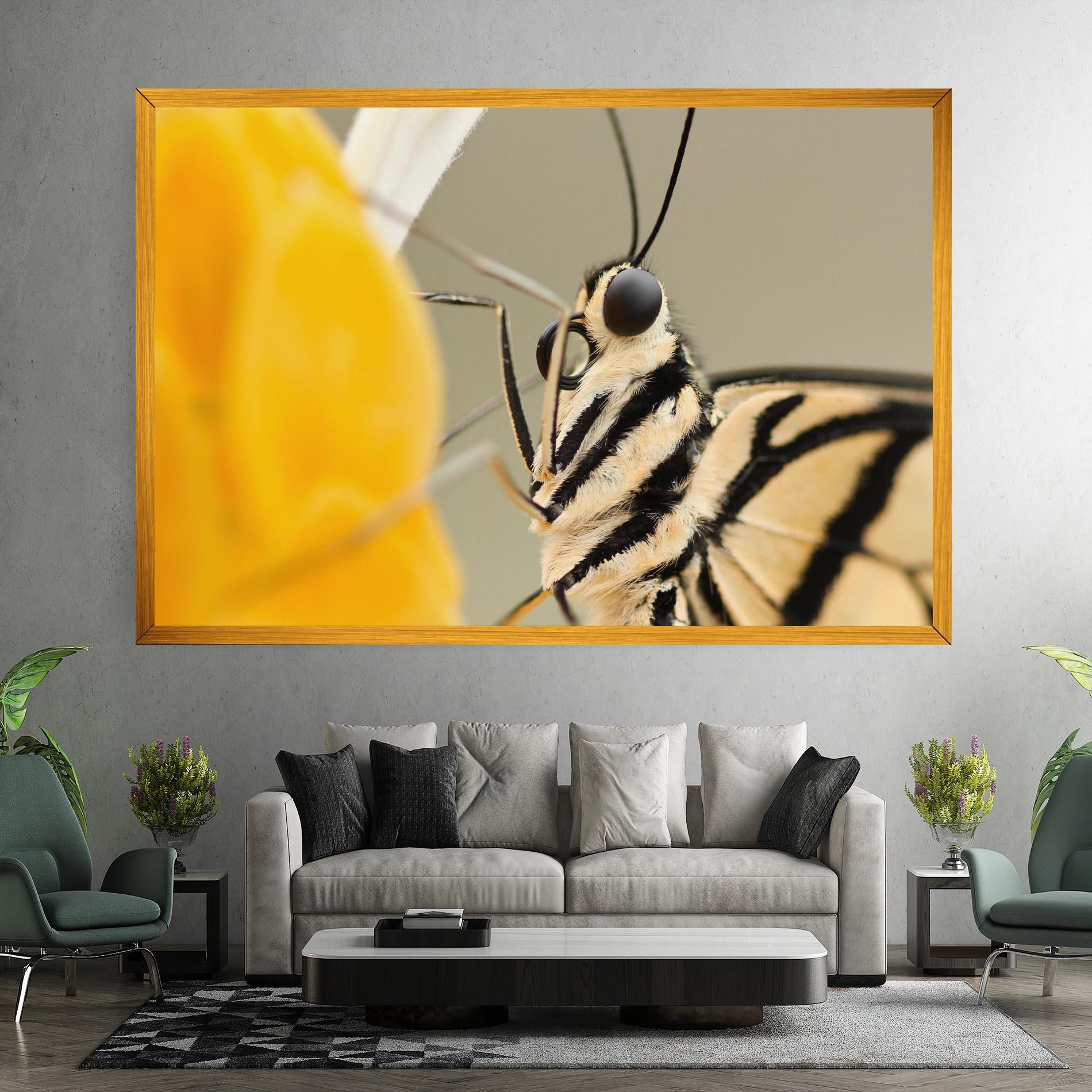 Vászonkép Close Up Cream Butterfly mockup 7