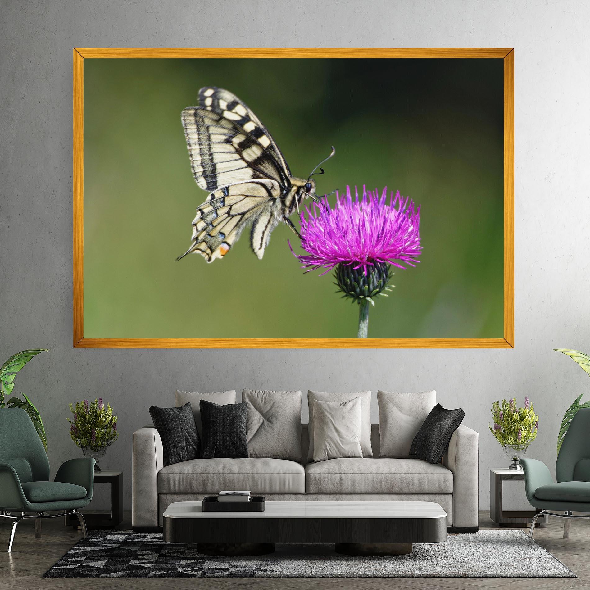 Vászonkép White Butterfly Pollen mockup 7