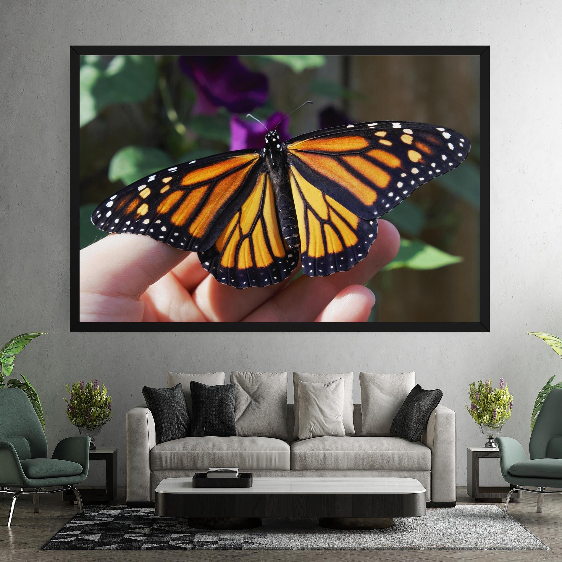 Vászonkép Open Orange Butterfly mockup 7