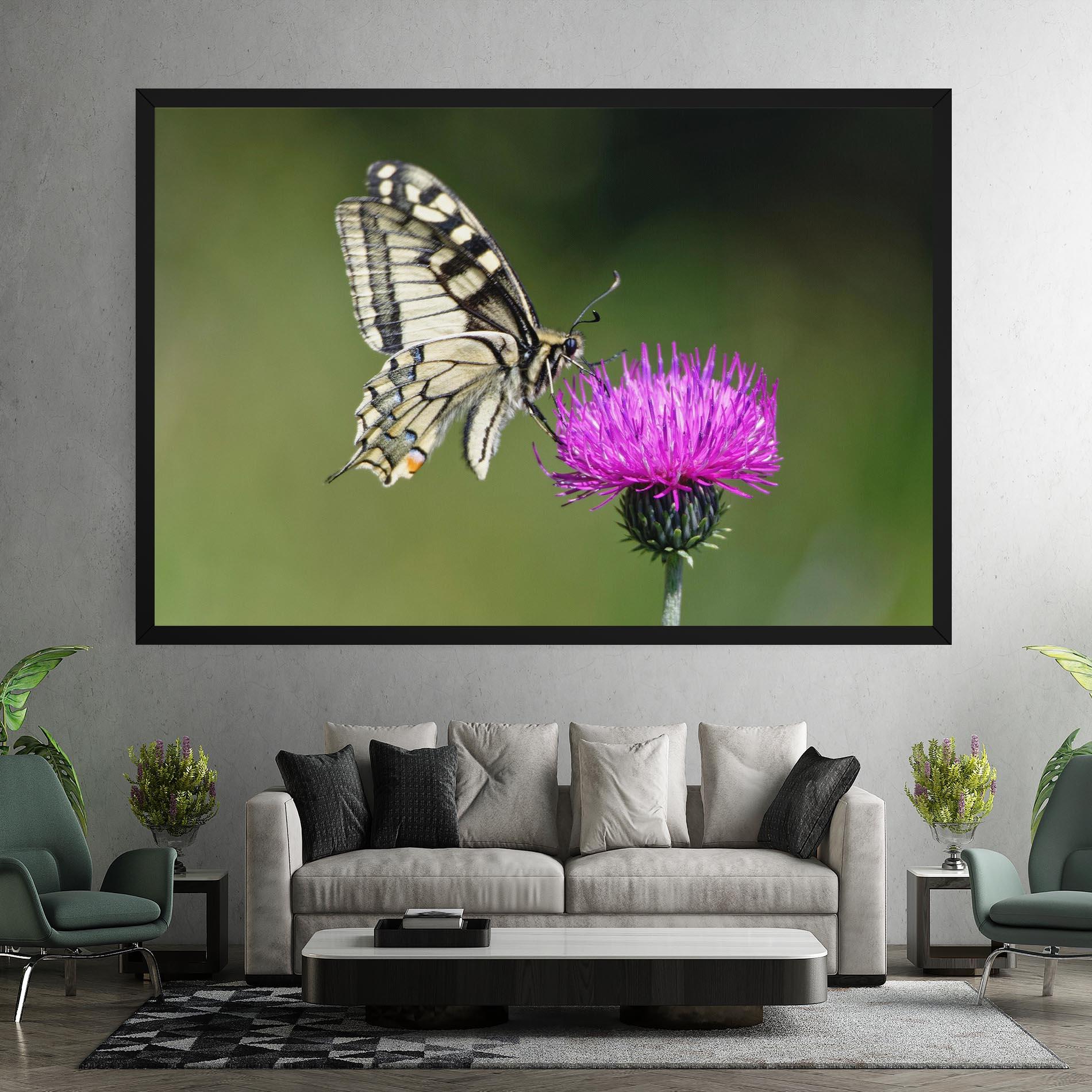 Vászonkép White Butterfly Pollen mockup 7