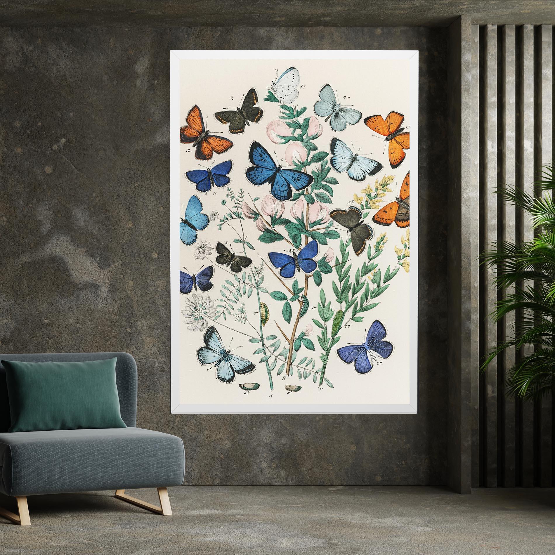 Vászonkép Blue Orange Butterflies mockup 7