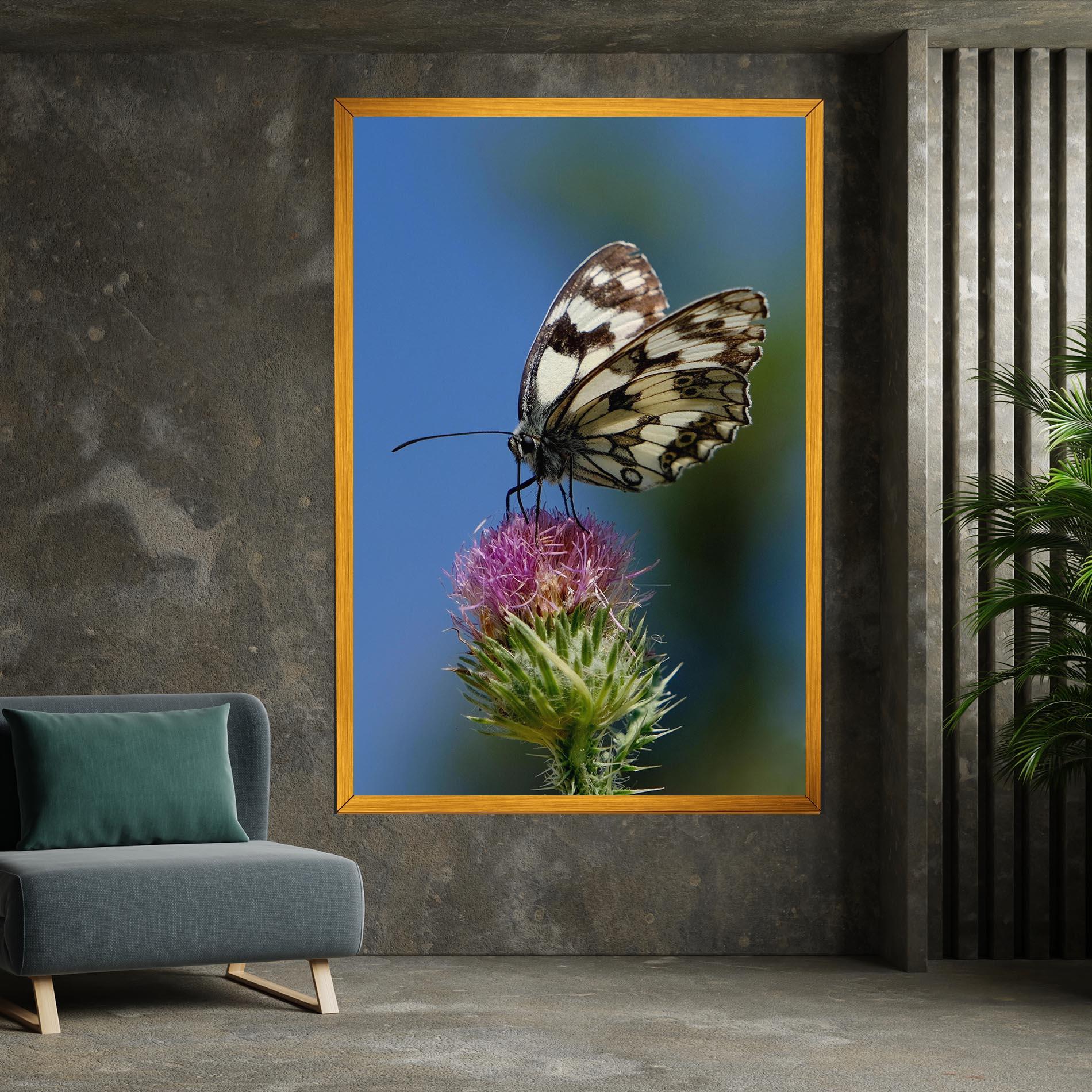 Vászonkép Grey White Butterfly mockup 7