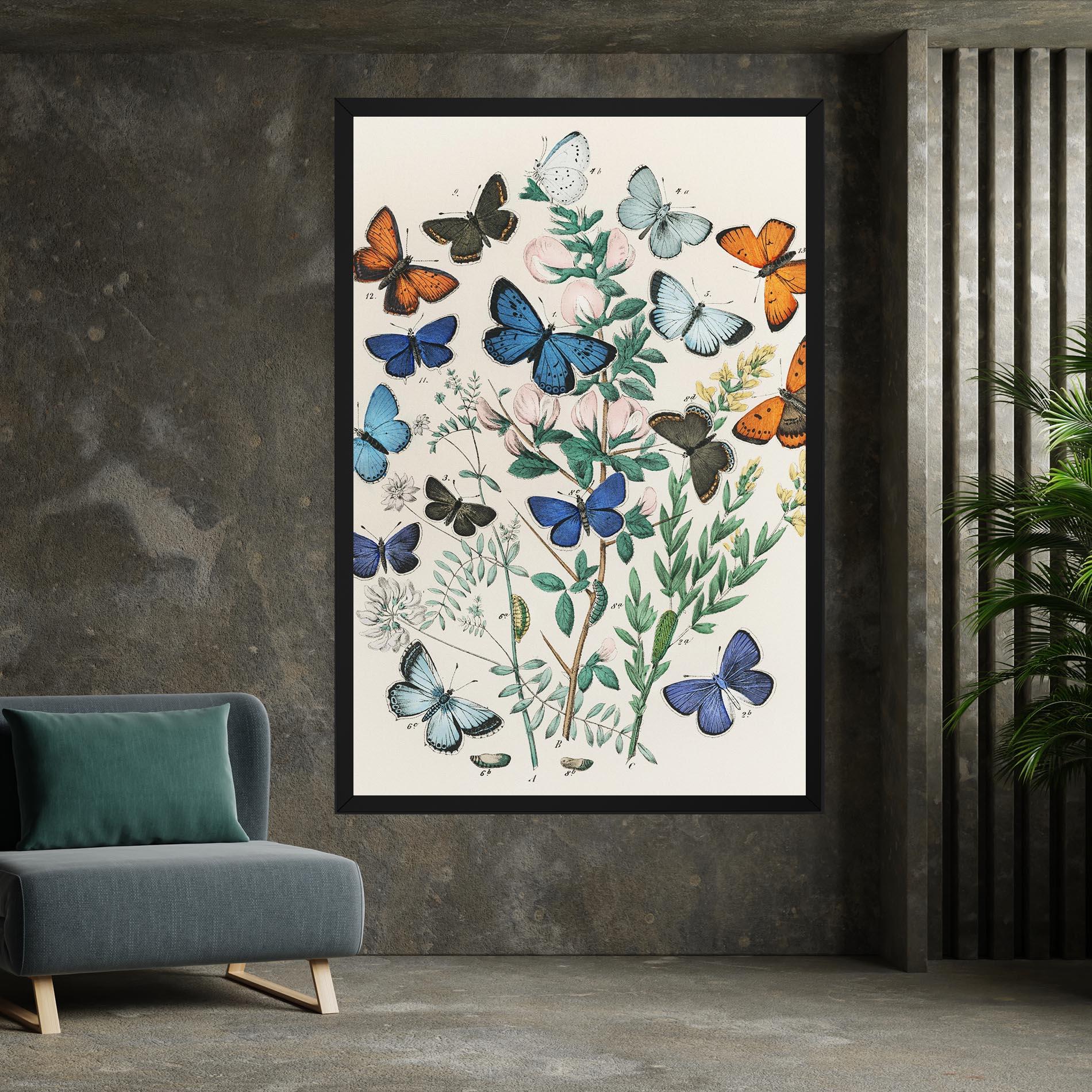 Vászonkép Blue Orange Butterflies mockup 7
