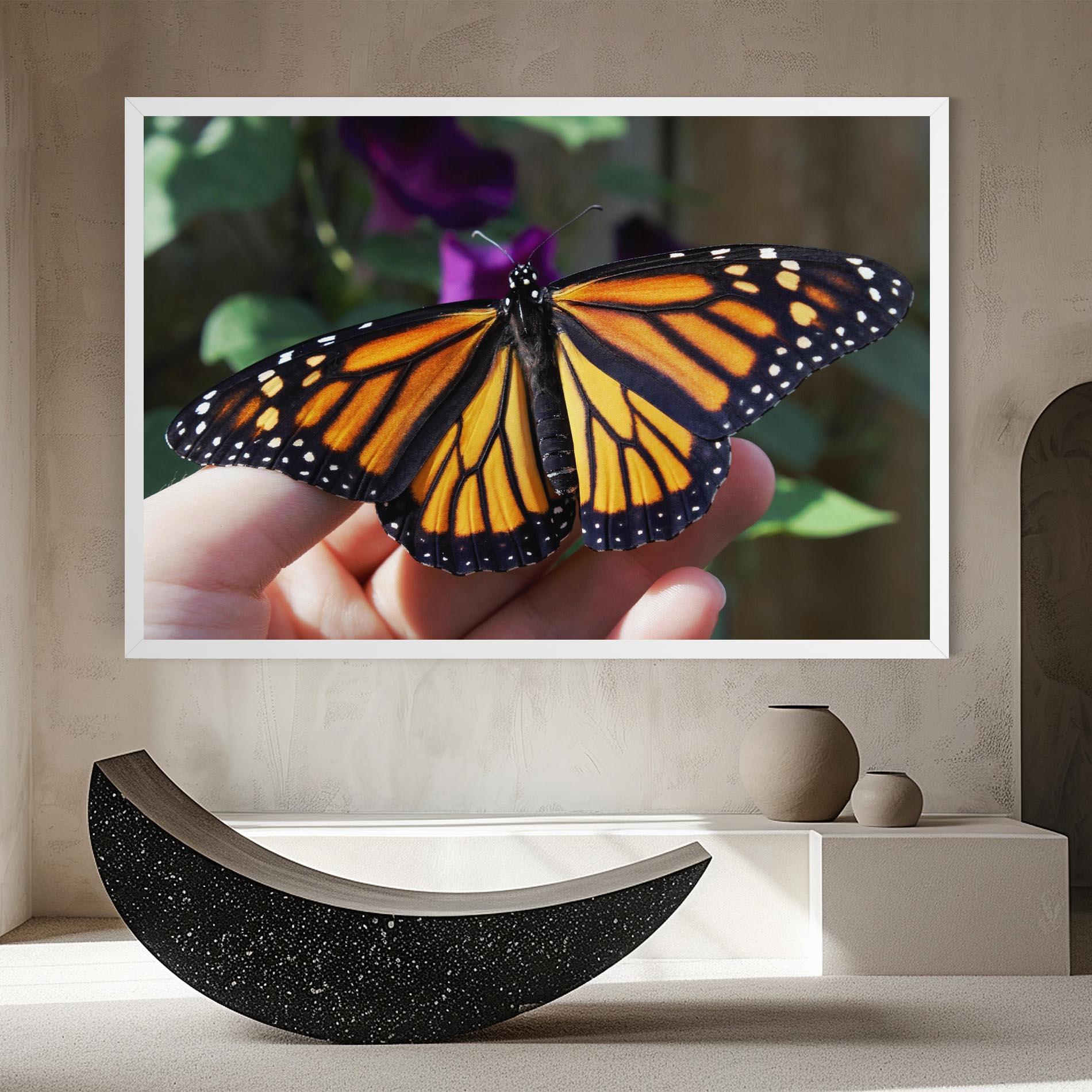 Vászonkép Open Orange Butterfly mockup 8