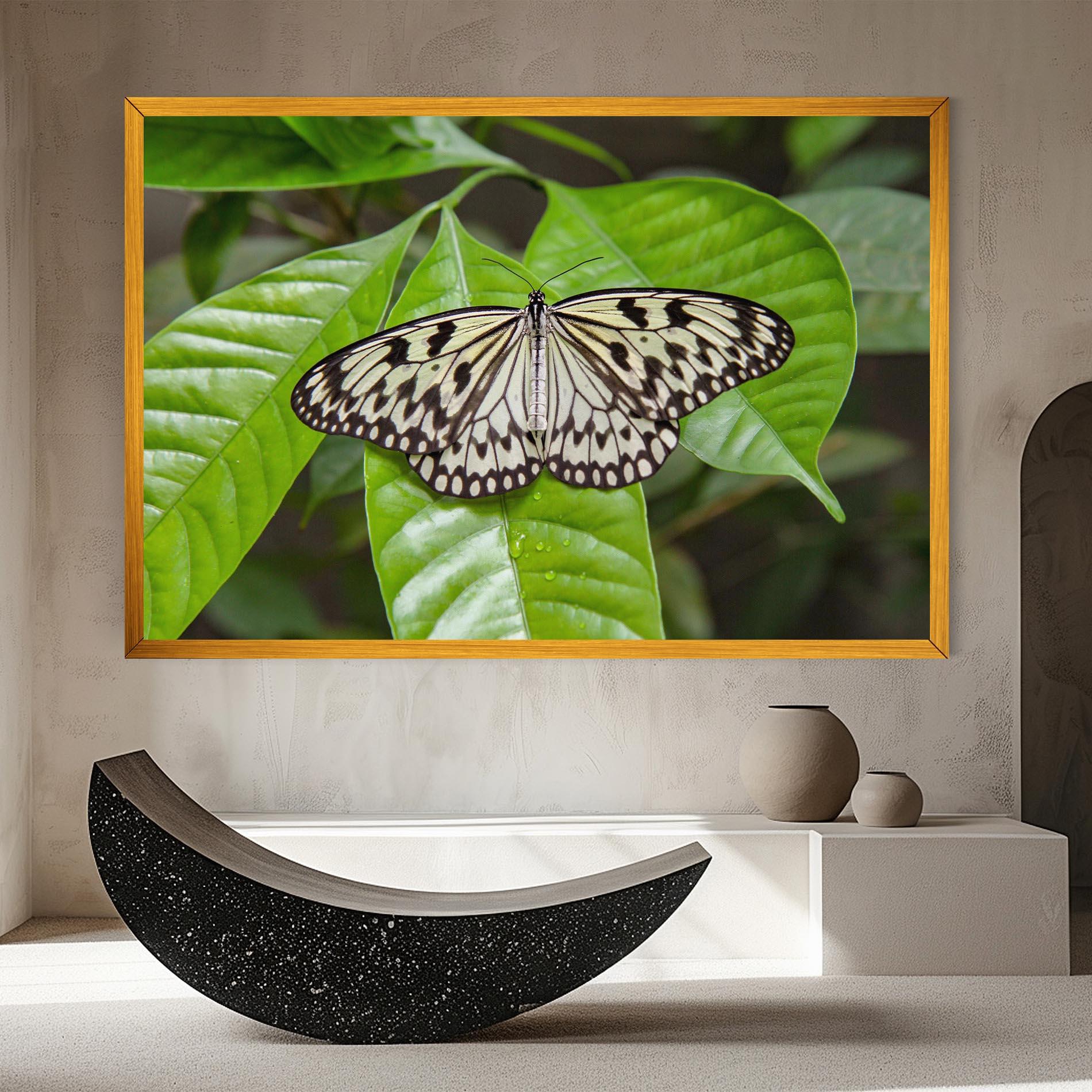 Vászonkép Beautiful White Butterfly mockup 8