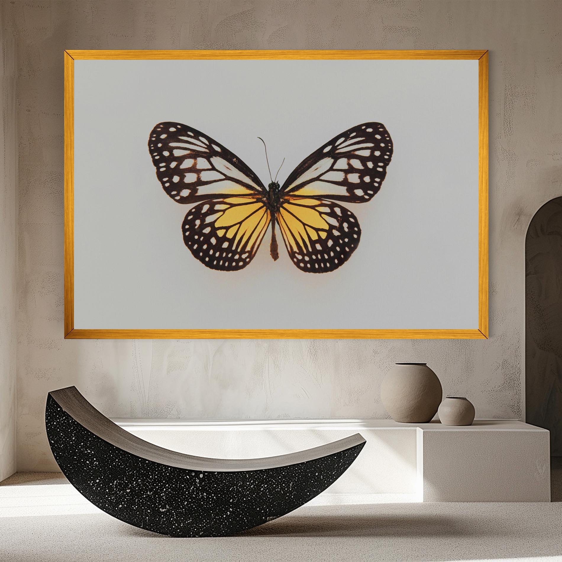 Vászonkép Butterfly On Grey mockup 8