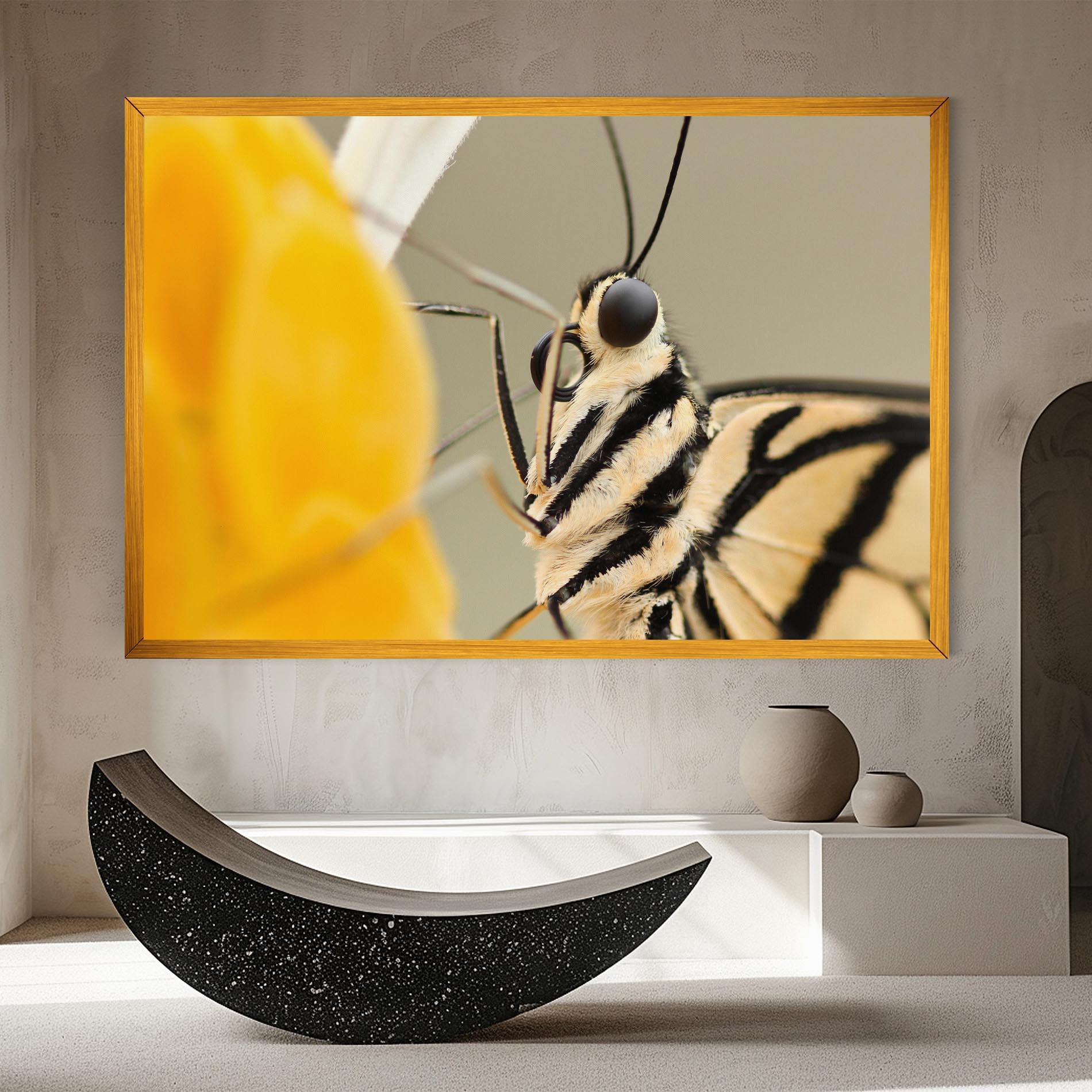 Vászonkép Close Up Cream Butterfly mockup 8