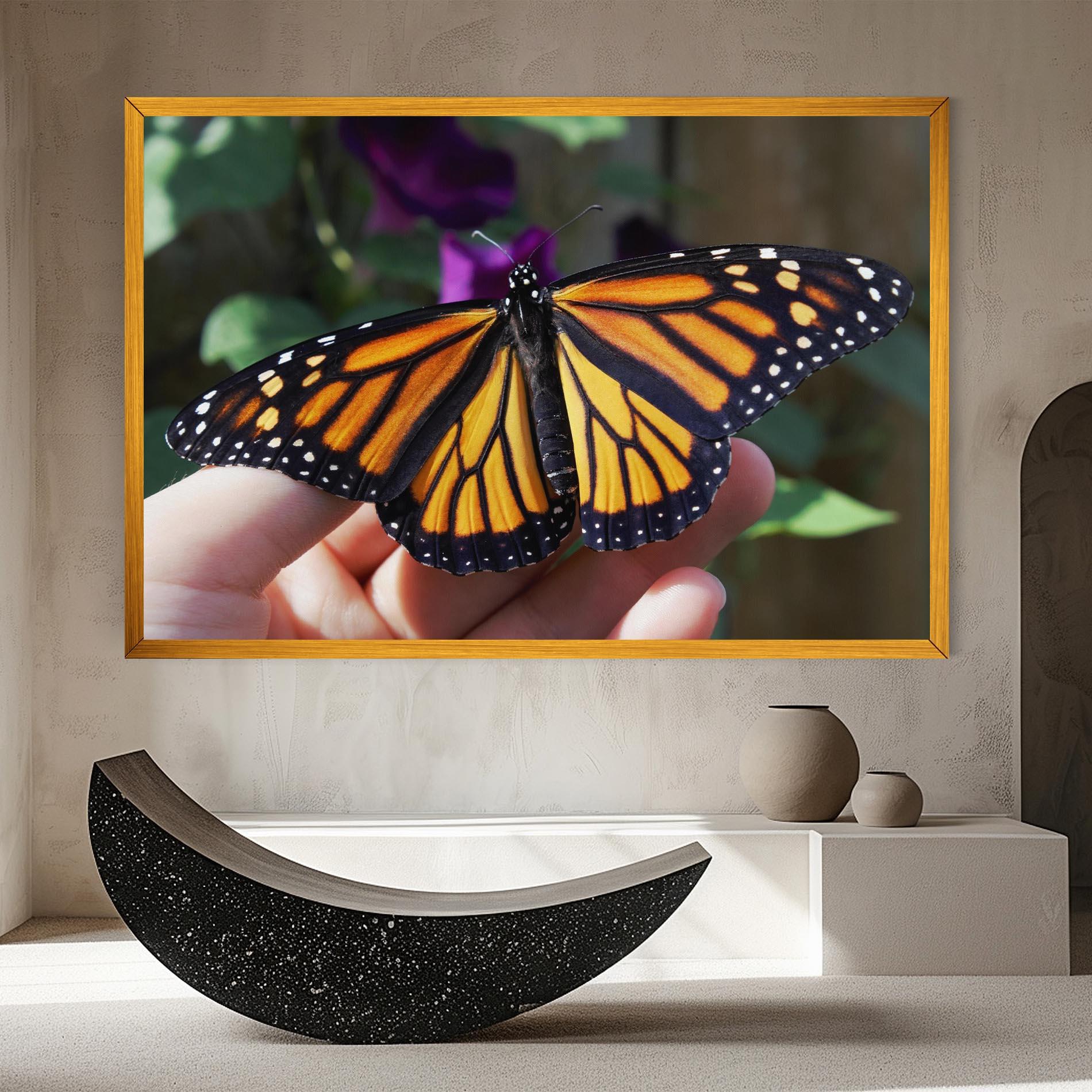 Vászonkép Open Orange Butterfly mockup 8