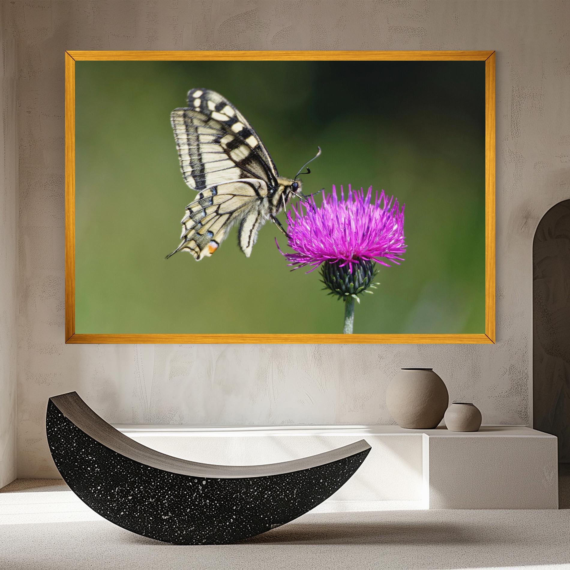 Vászonkép White Butterfly Pollen mockup 8