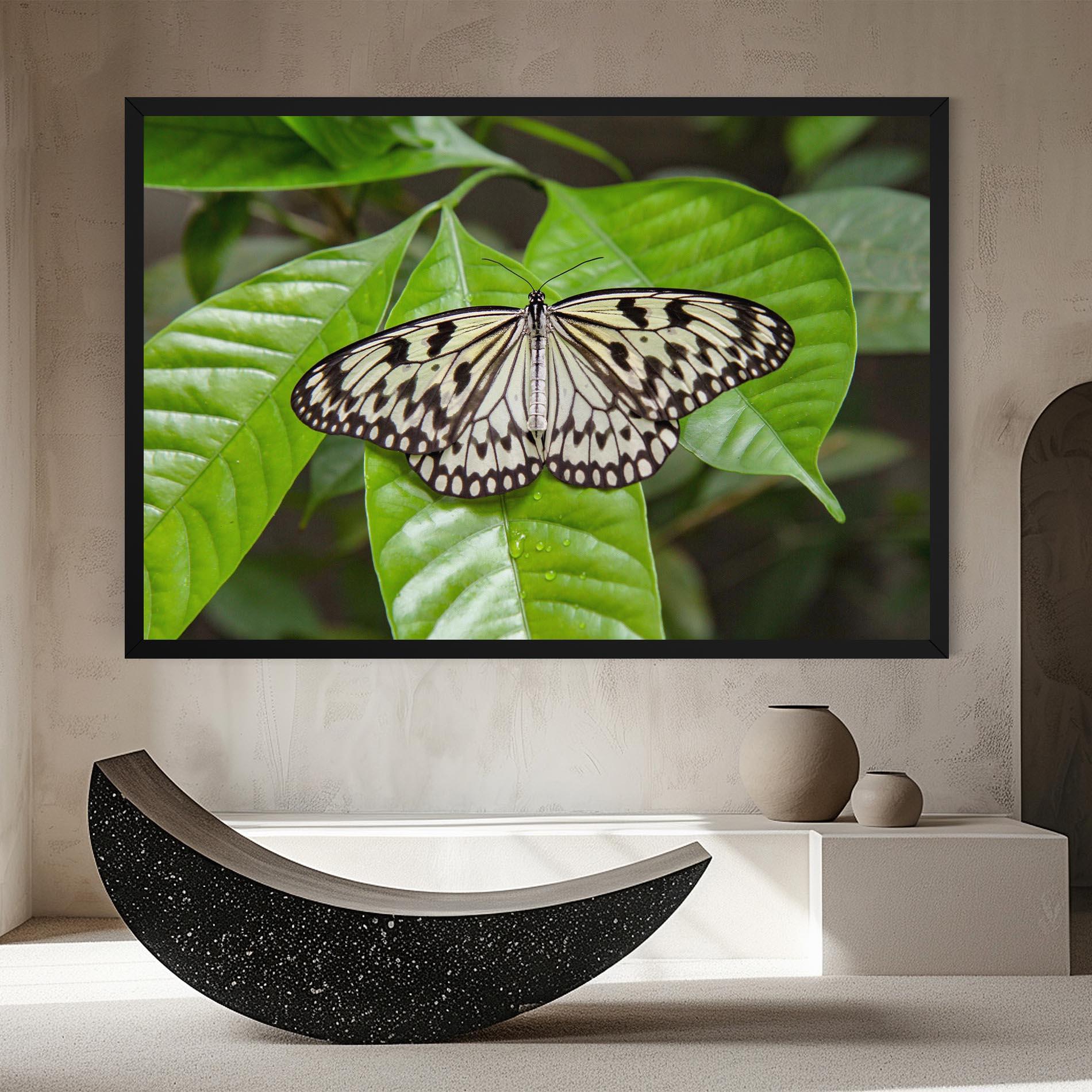 Vászonkép Beautiful White Butterfly mockup 8
