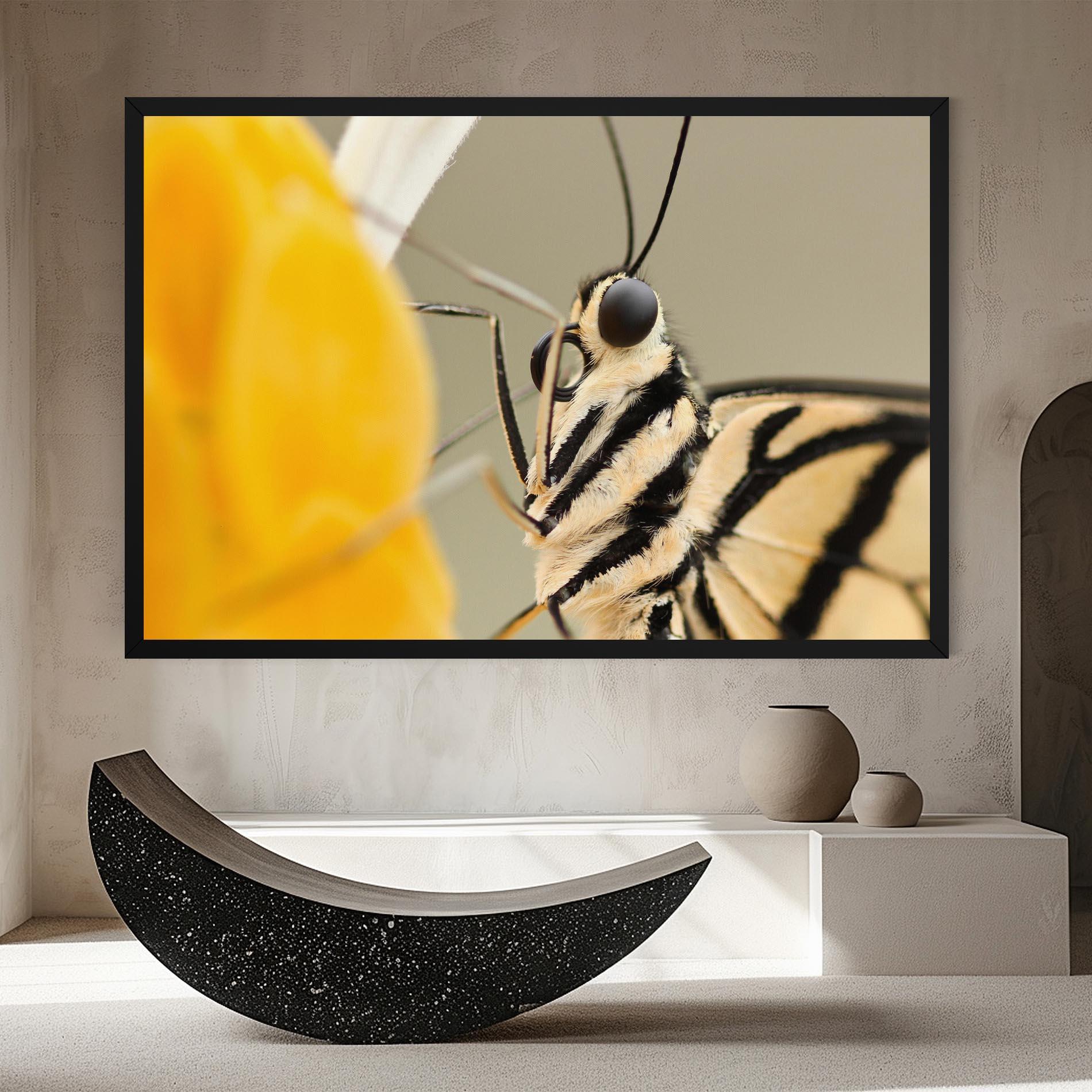 Vászonkép Close Up Cream Butterfly mockup 8