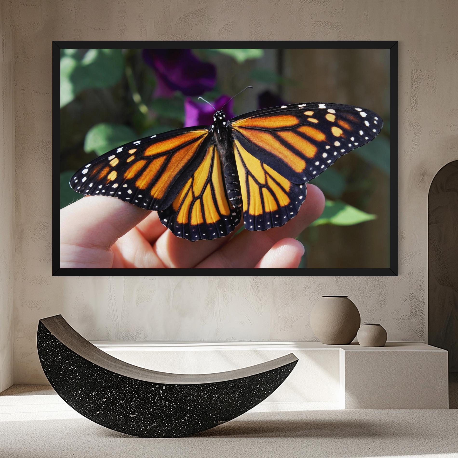 Vászonkép Open Orange Butterfly mockup 8