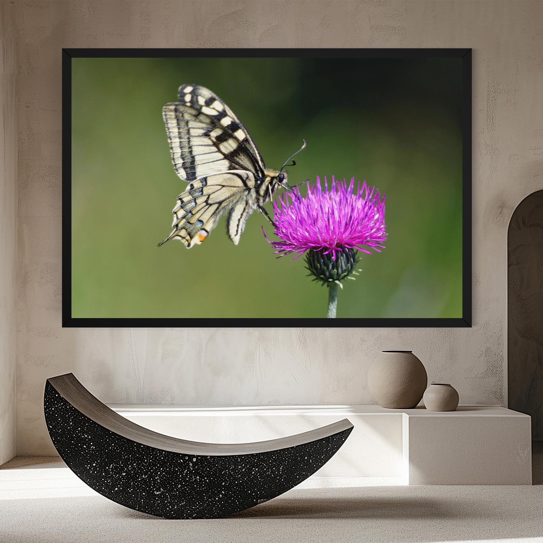 Vászonkép White Butterfly Pollen mockup 8