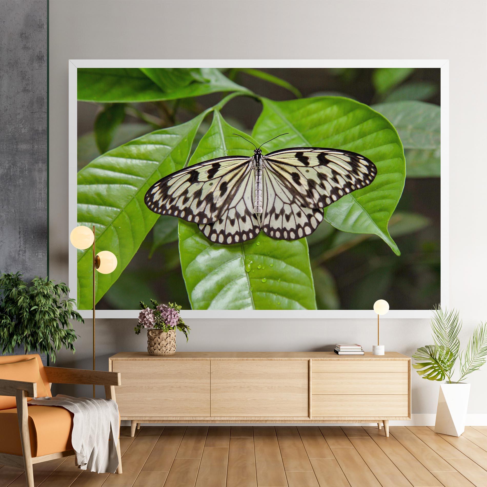 Vászonkép Beautiful White Butterfly mockup 9