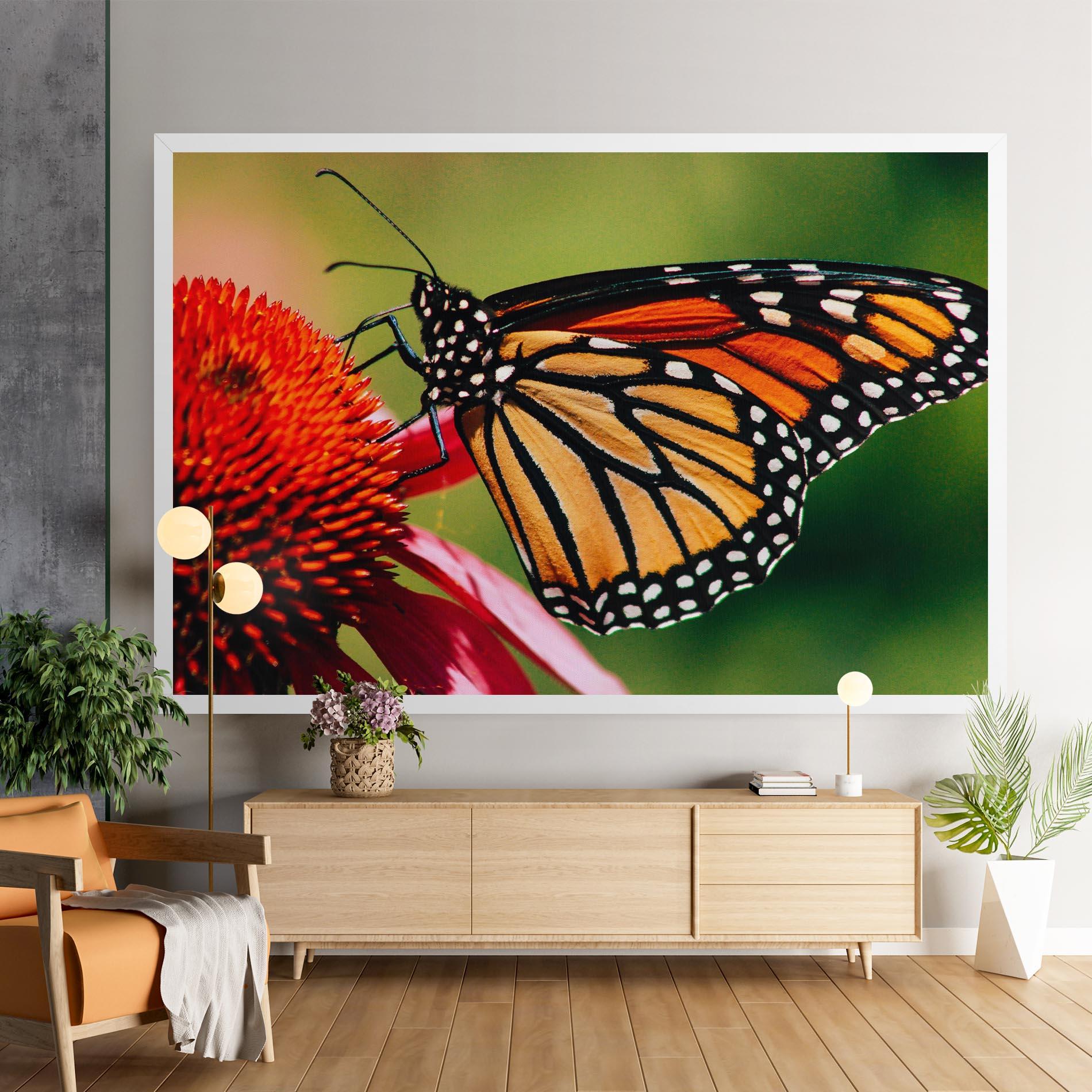 Vászonkép Big Orange Butterfly mockup 9