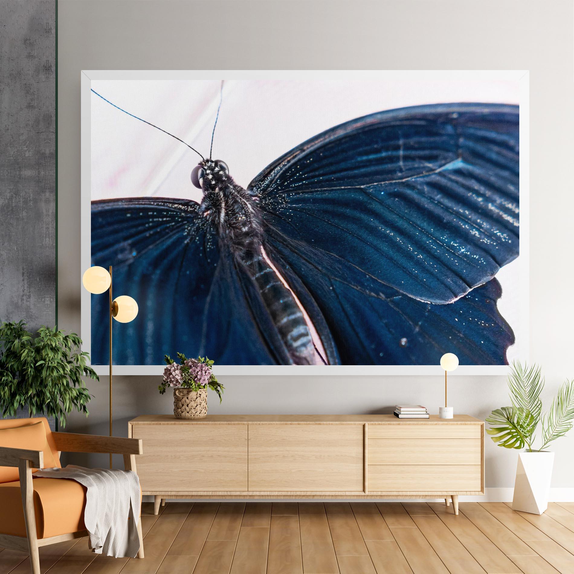 Vászonkép Blue Butterfly mockup 9