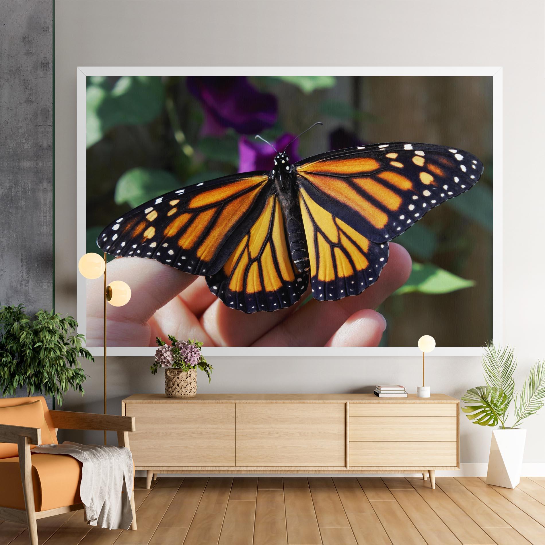 Vászonkép Open Orange Butterfly mockup 9