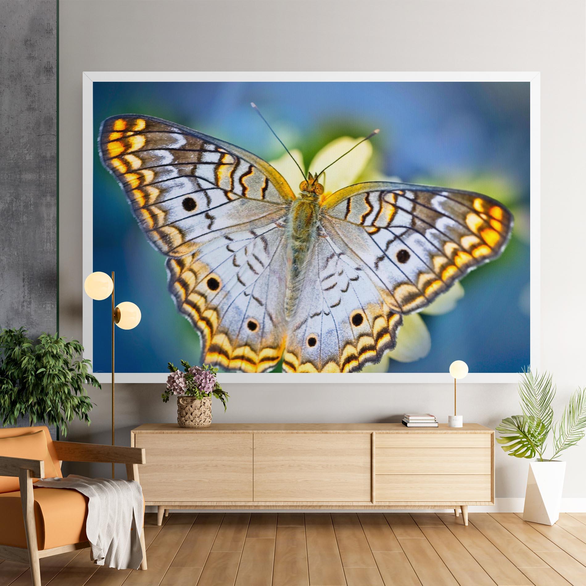 Vászonkép Yellow Grey Butterfly mockup 9