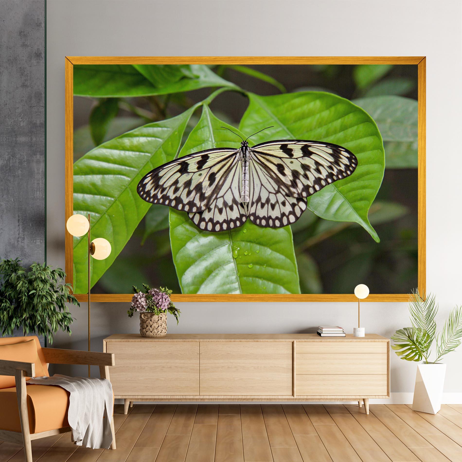 Vászonkép Beautiful White Butterfly mockup 9