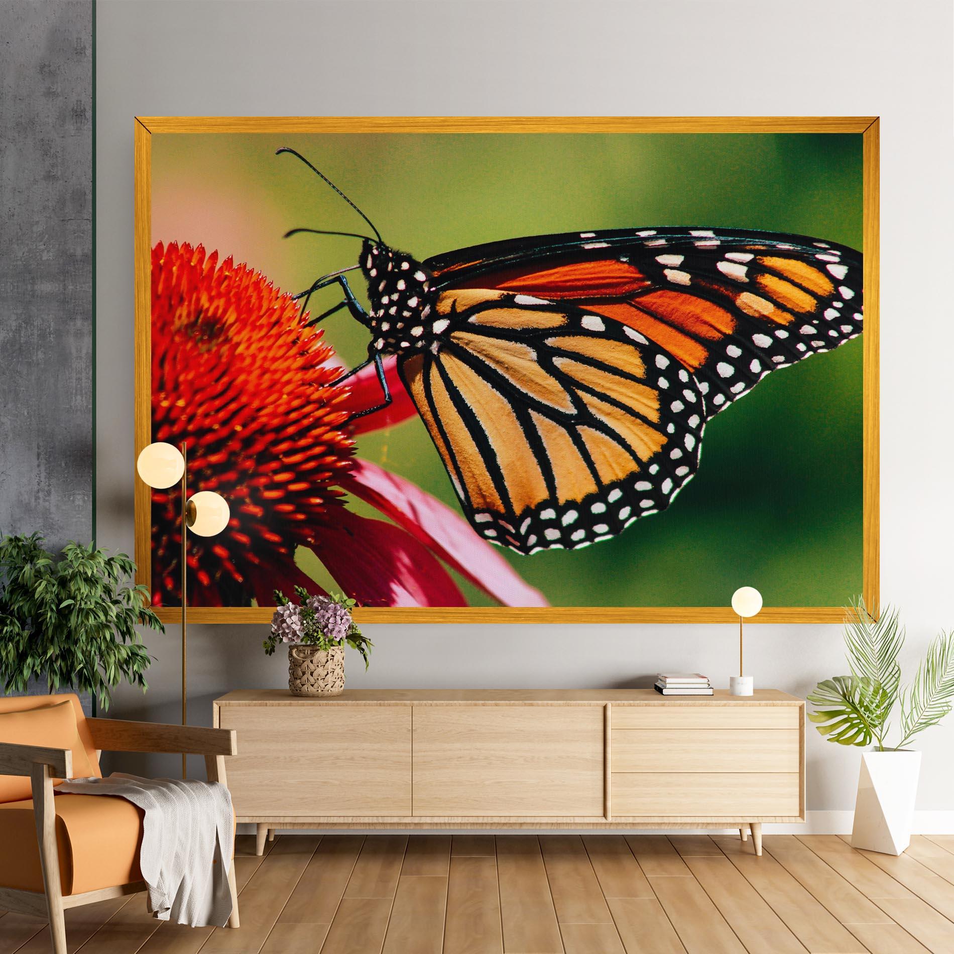 Vászonkép Big Orange Butterfly mockup 9