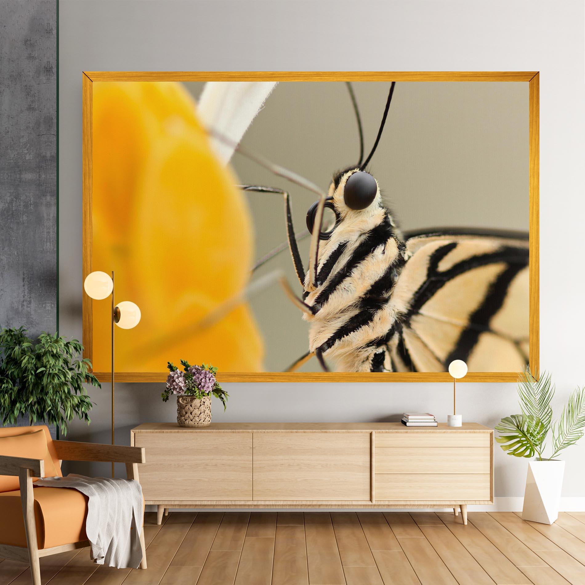 Vászonkép Close Up Cream Butterfly mockup 9