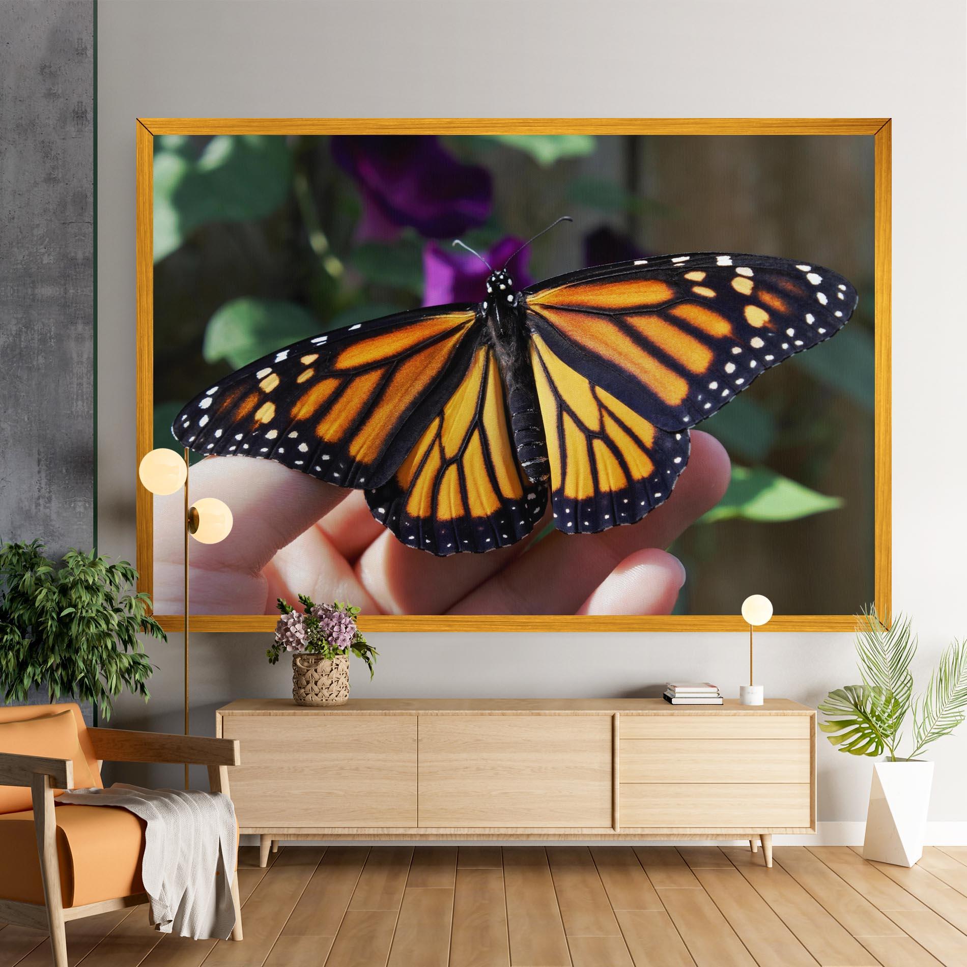 Vászonkép Open Orange Butterfly mockup 9