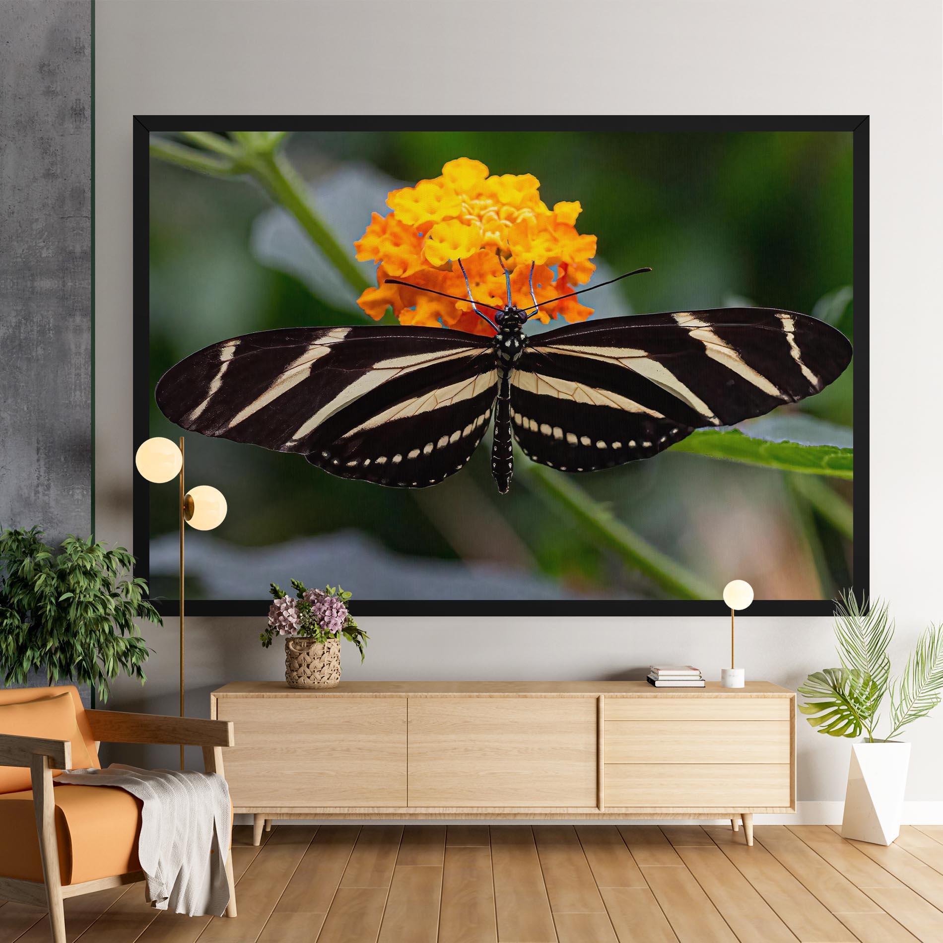 Vászonkép Big Wings Butterfly mockup 9