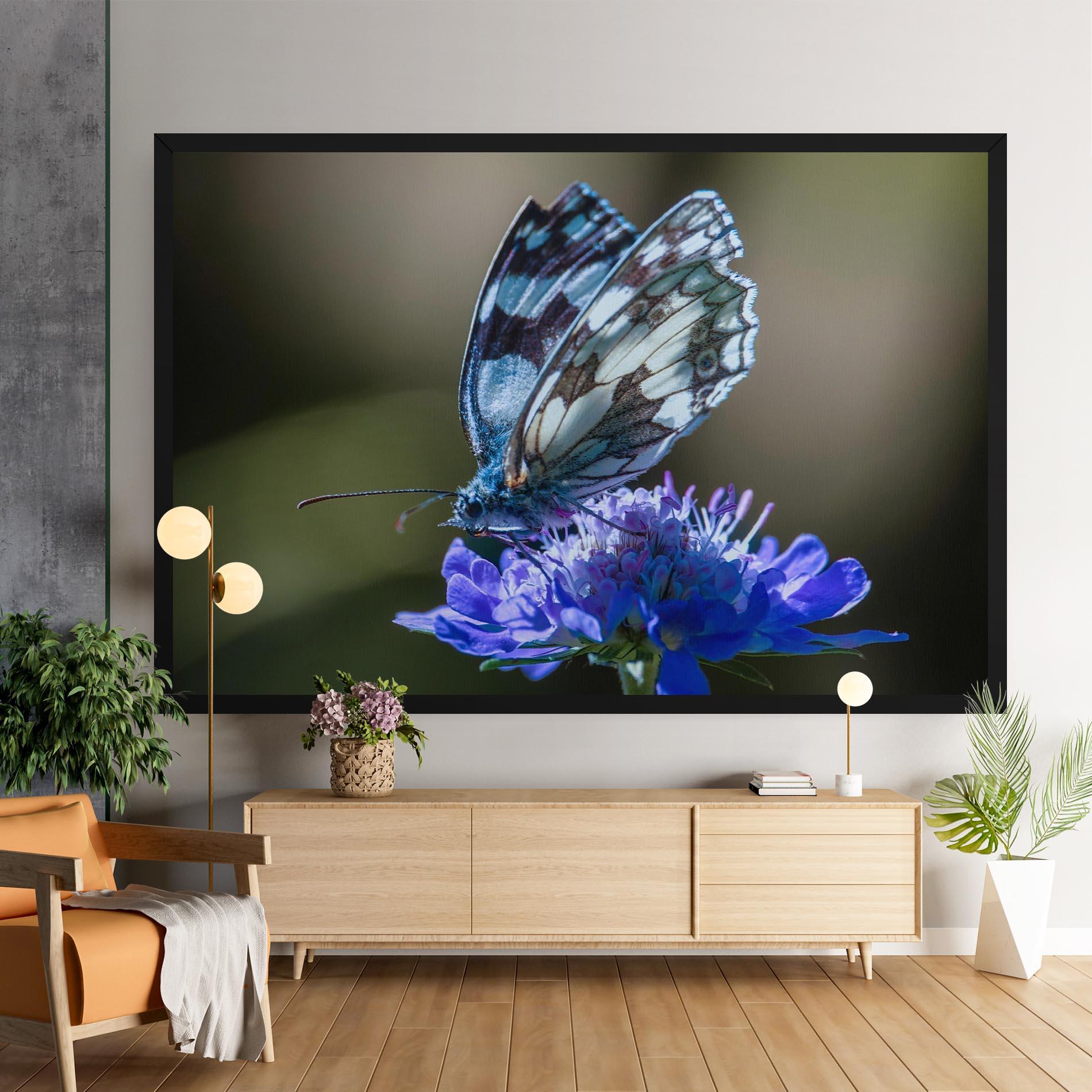 Vászonkép Blue Butterfly In Nature mockup 9