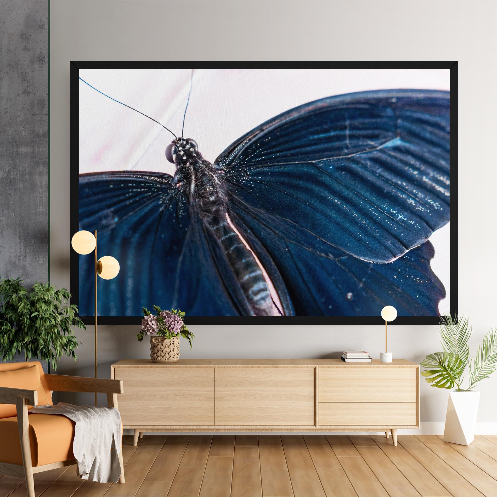 Vászonkép Blue Butterfly mockup 9