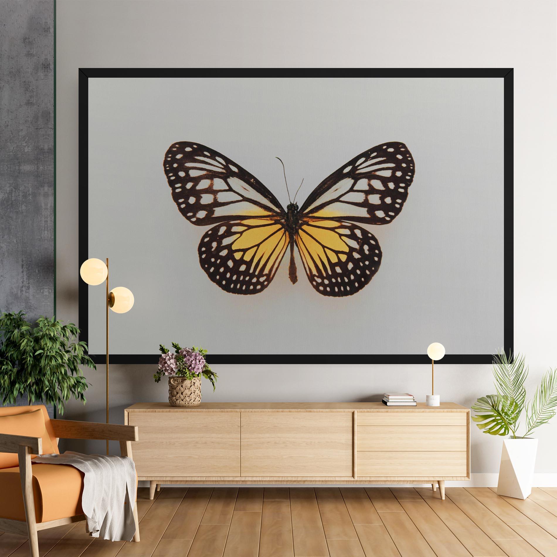 Vászonkép Butterfly On Grey mockup 9