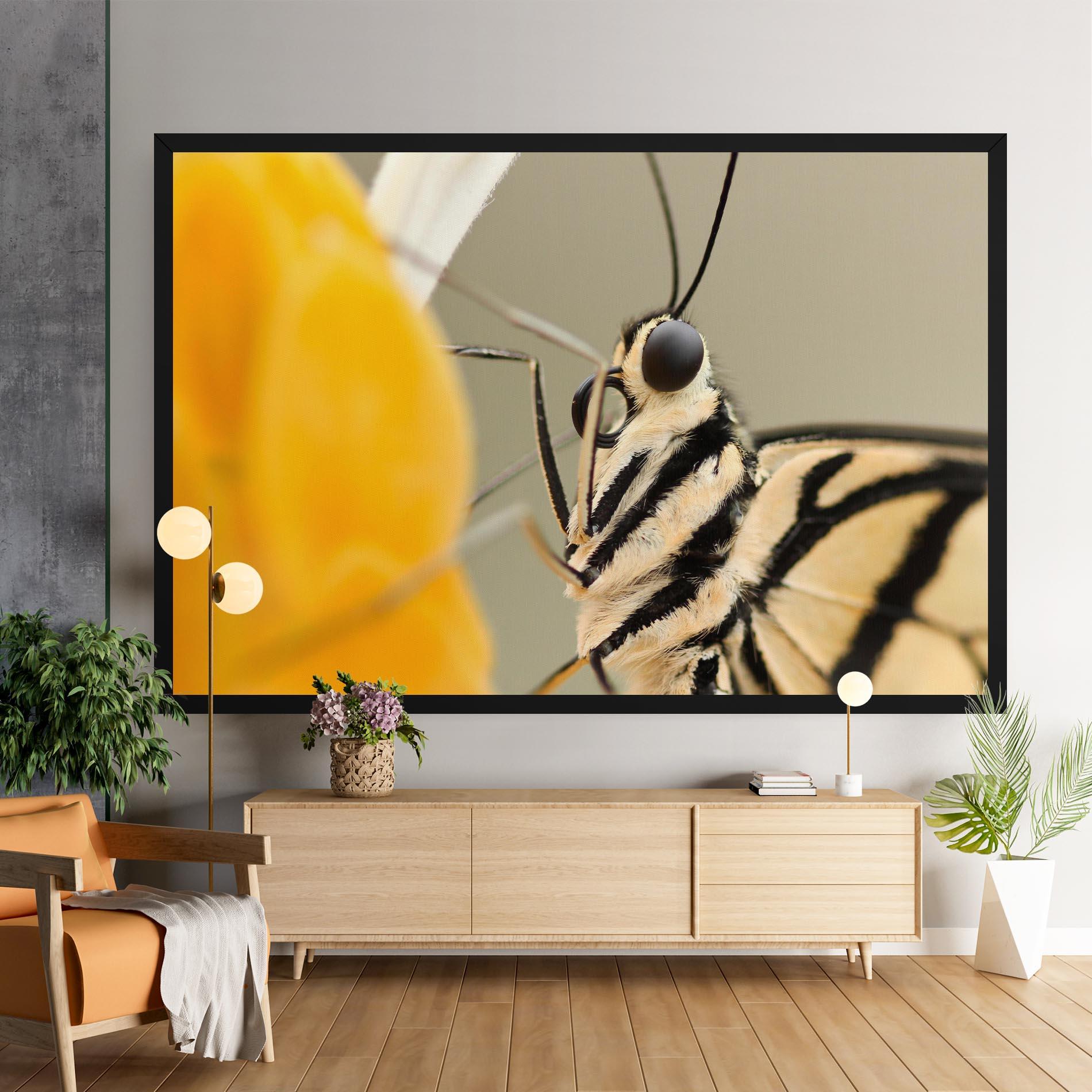 Vászonkép Close Up Cream Butterfly mockup 9