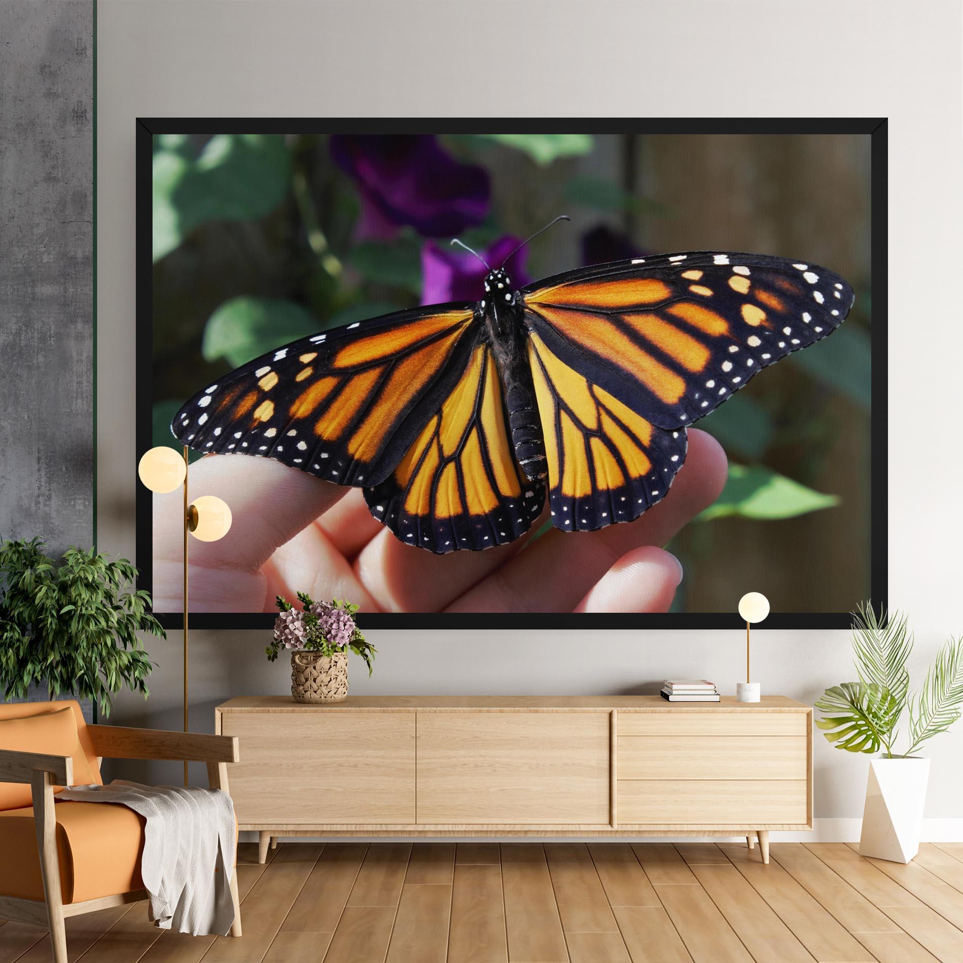 Vászonkép Open Orange Butterfly mockup 9