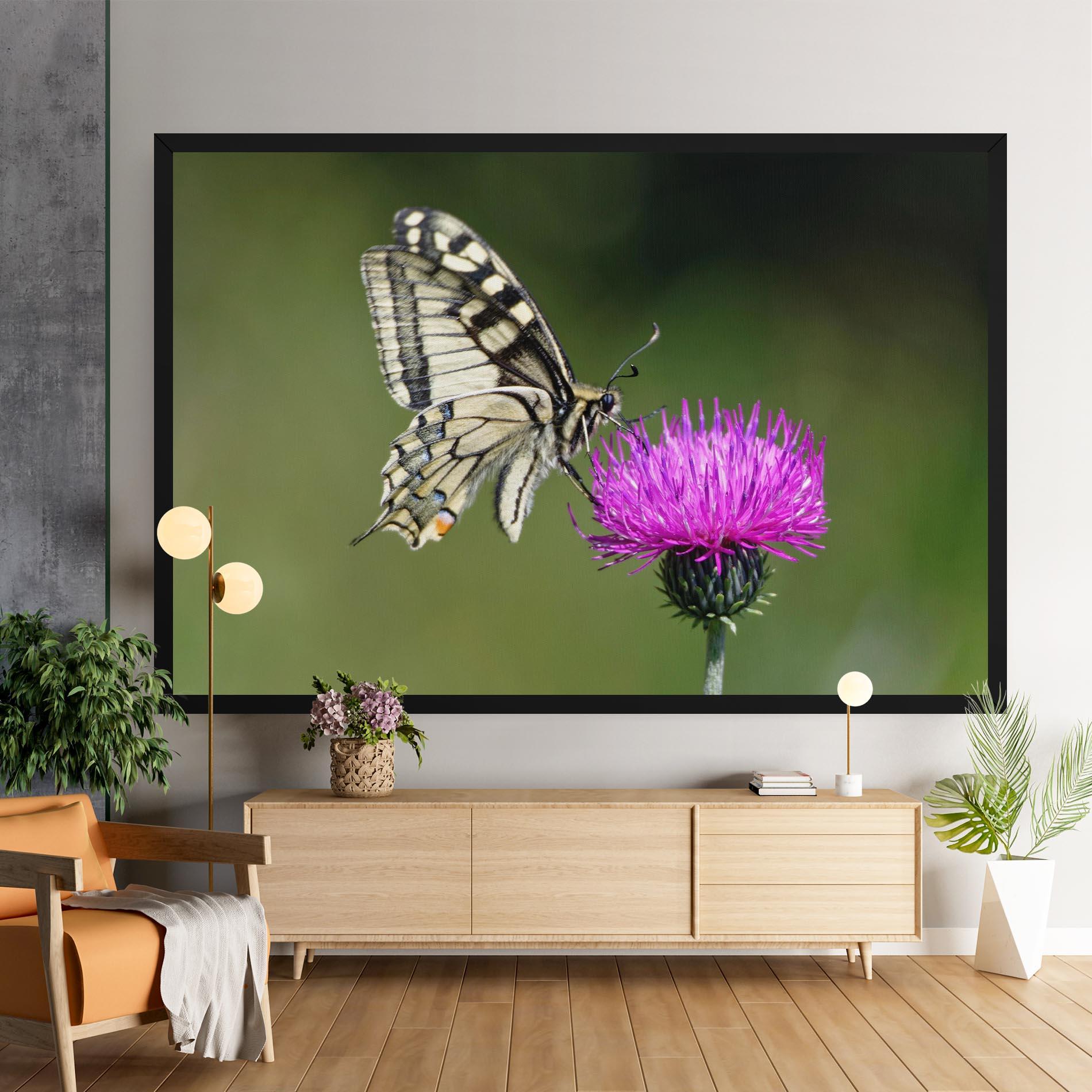 Vászonkép White Butterfly Pollen mockup 9