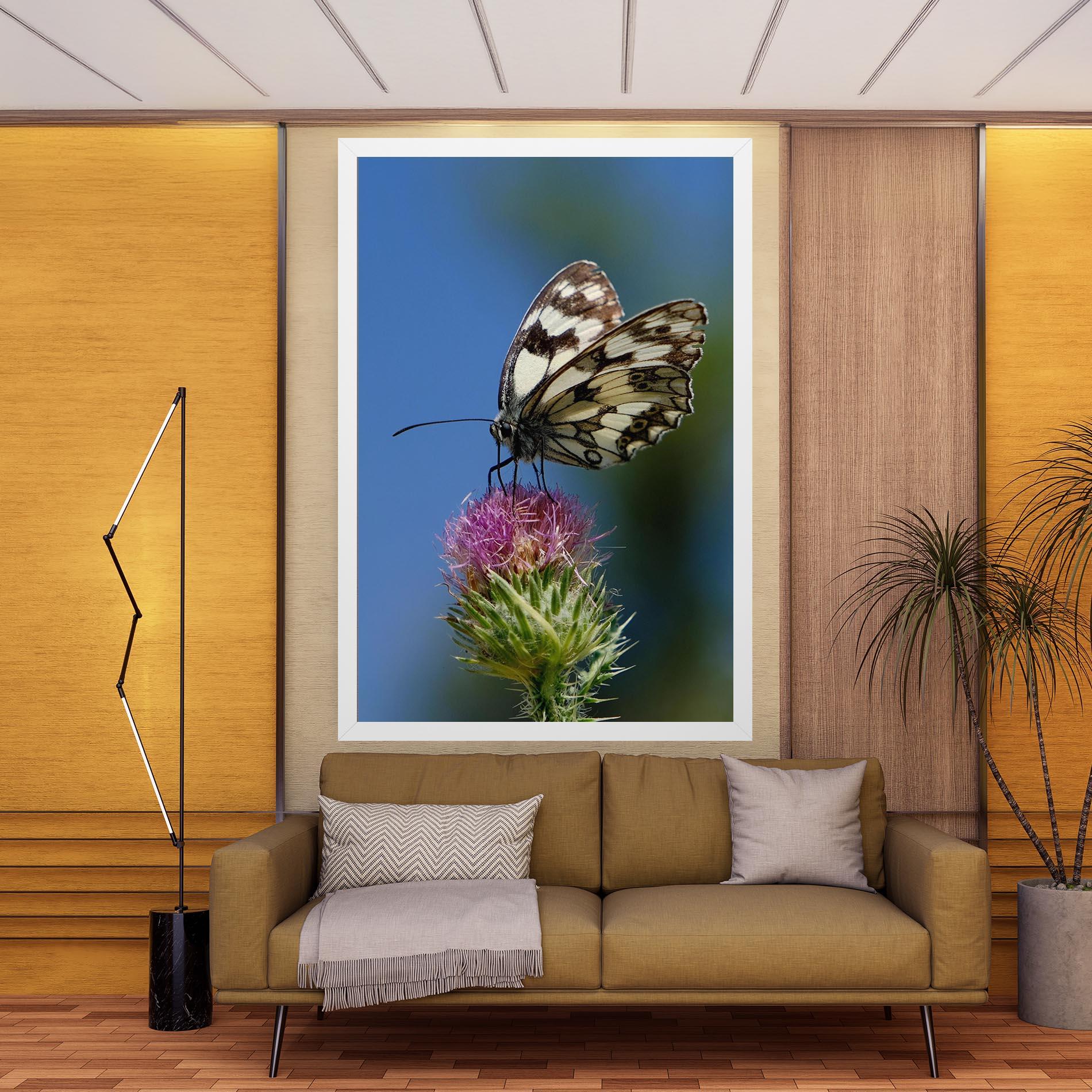 Vászonkép Grey White Butterfly mockup 9