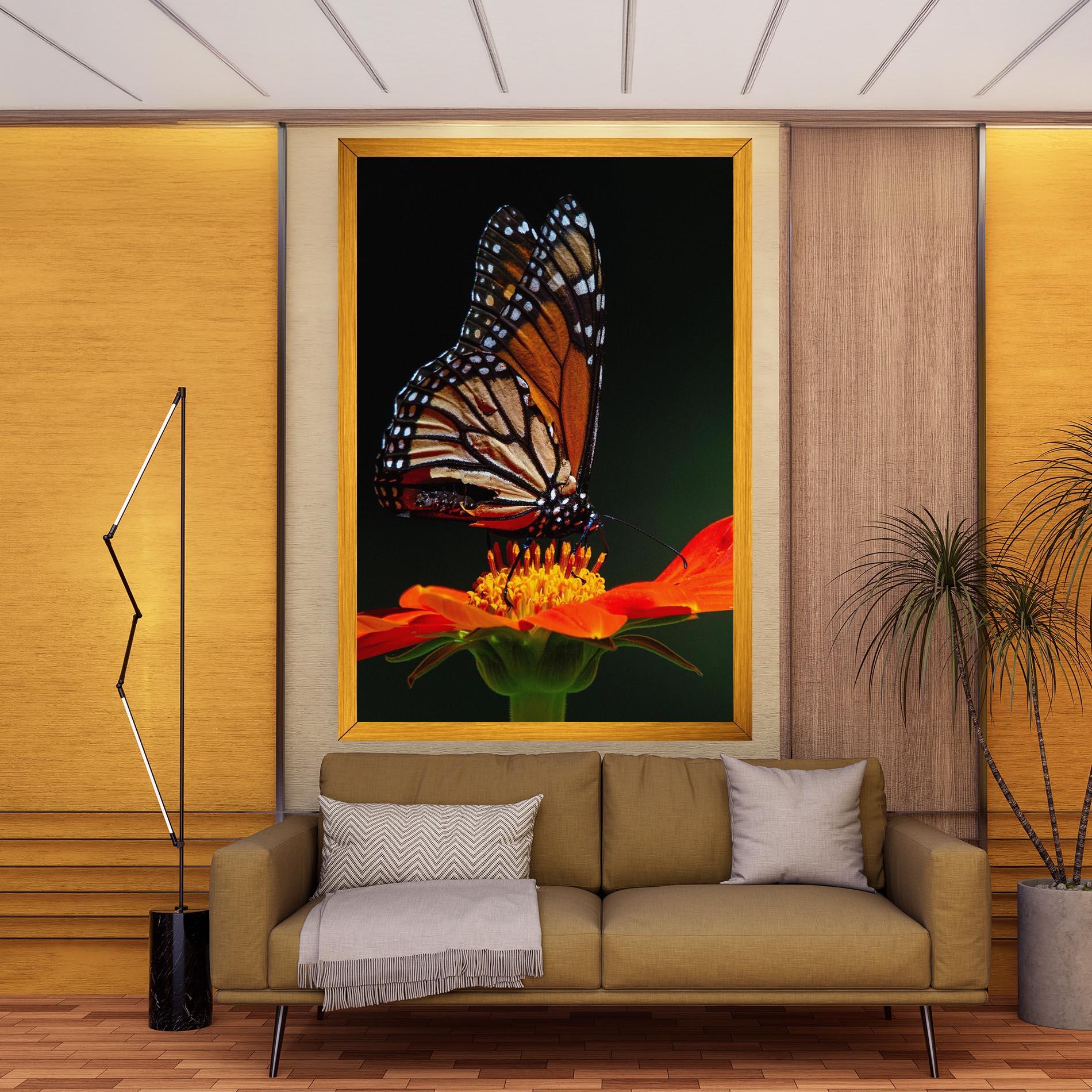 Vászonkép Dark Orange Butterfy mockup 9