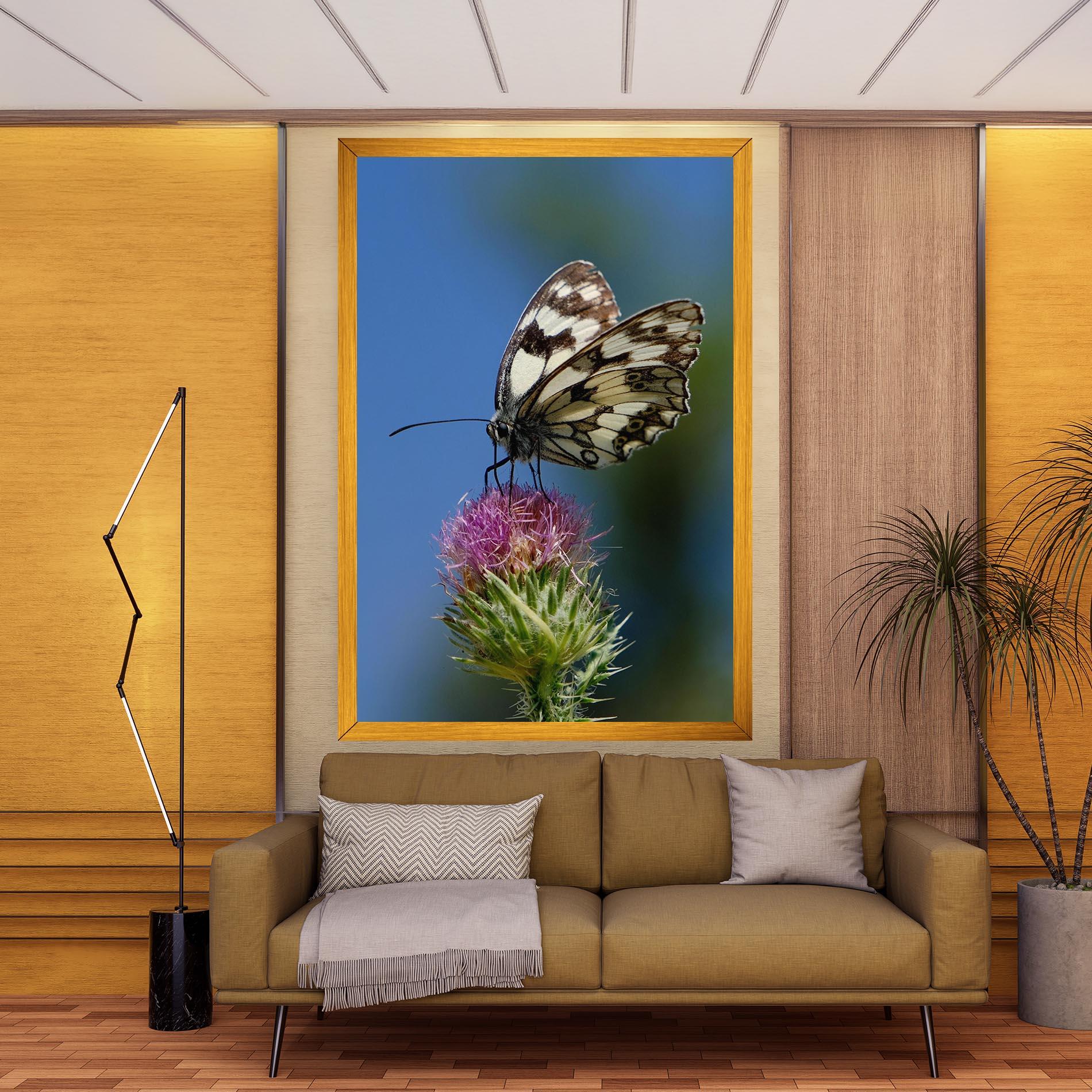 Vászonkép Grey White Butterfly mockup 9