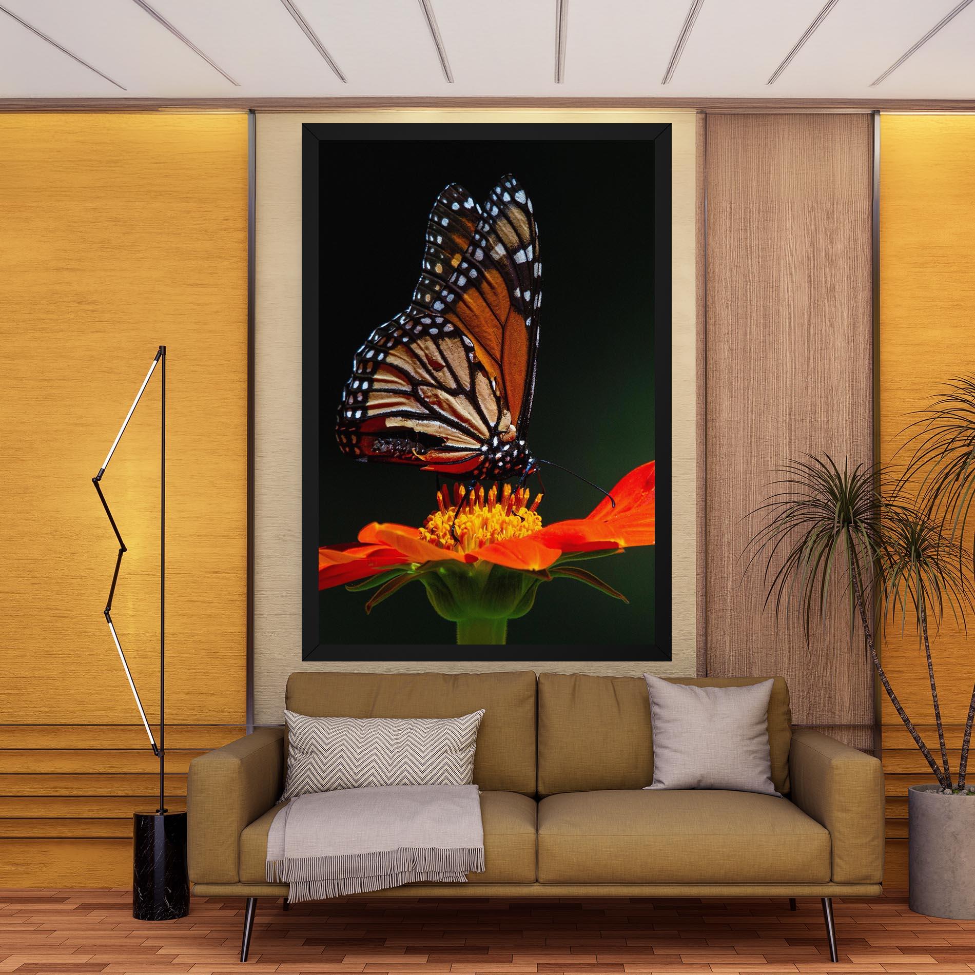 Vászonkép Dark Orange Butterfy mockup 9