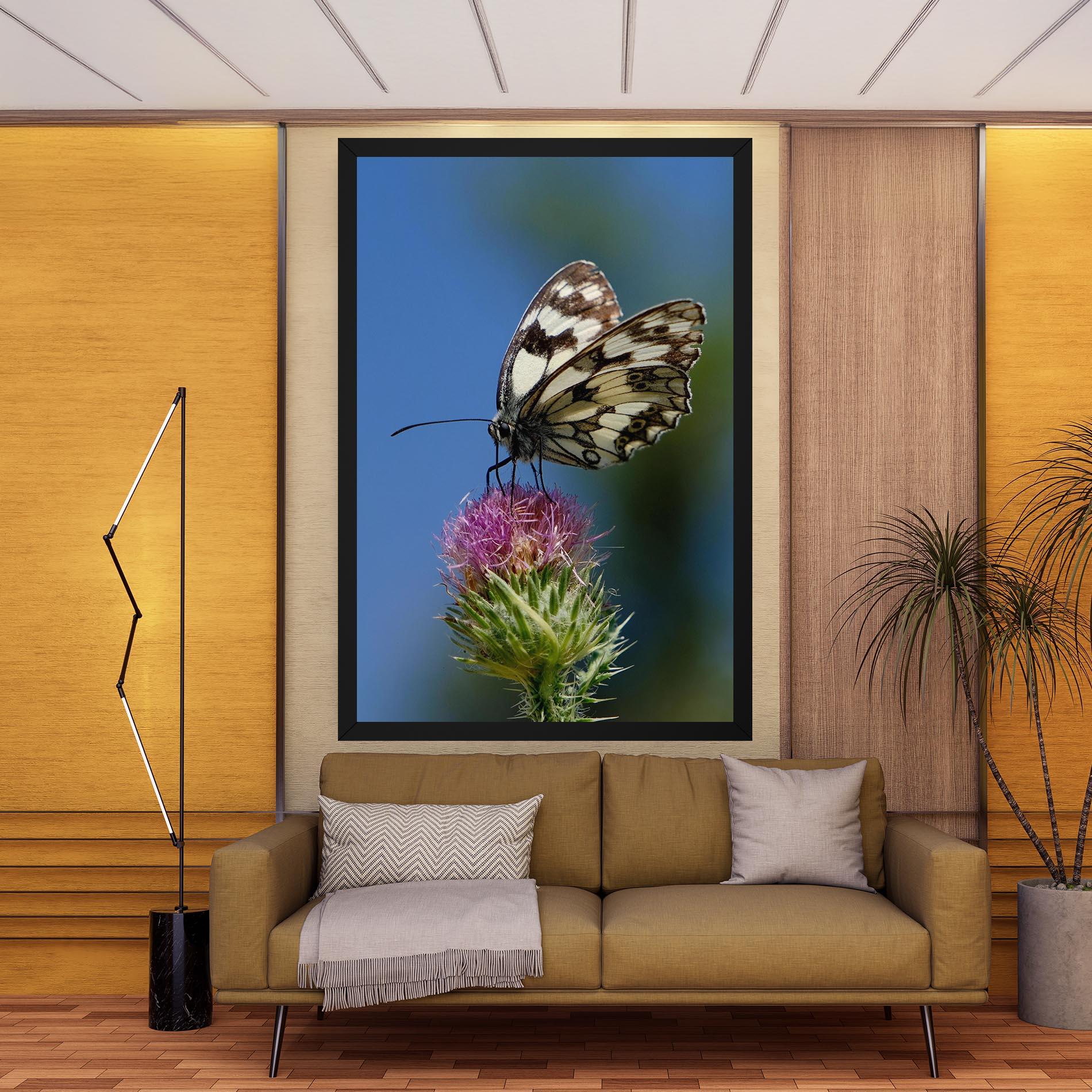 Vászonkép Grey White Butterfly mockup 9