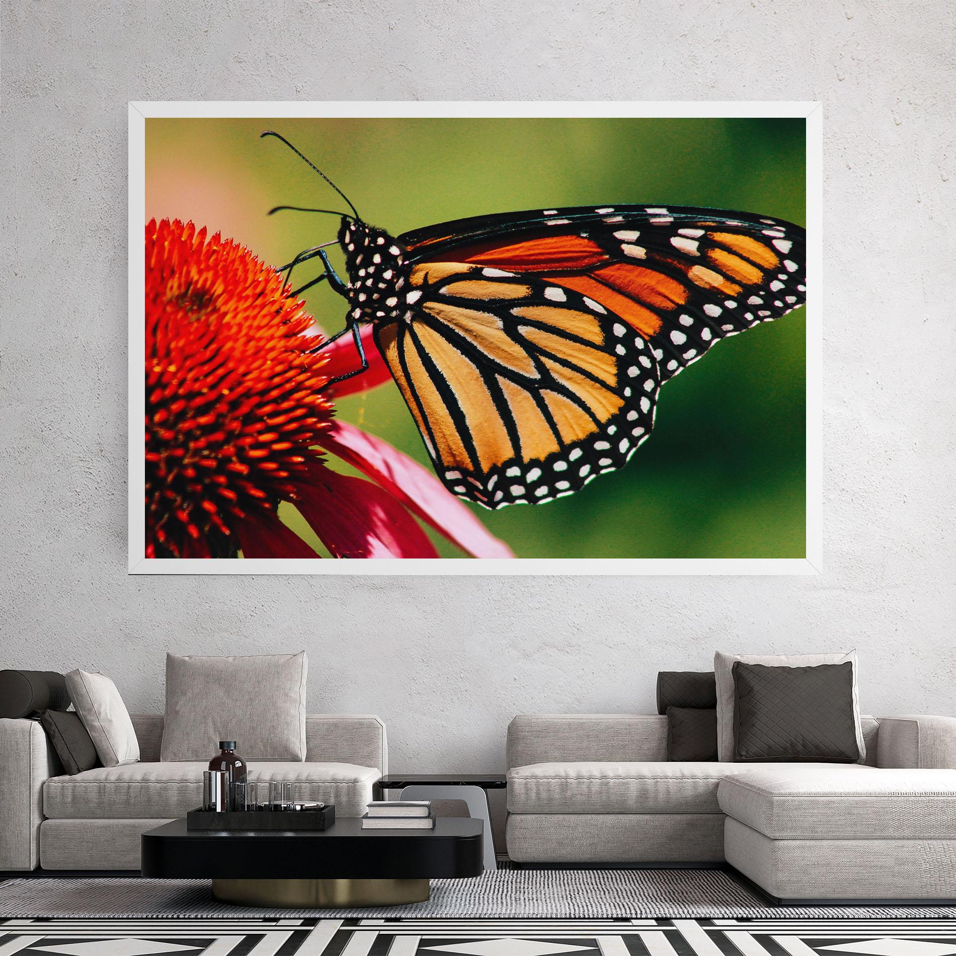 Vászonkép Big Orange Butterfly mockup 2