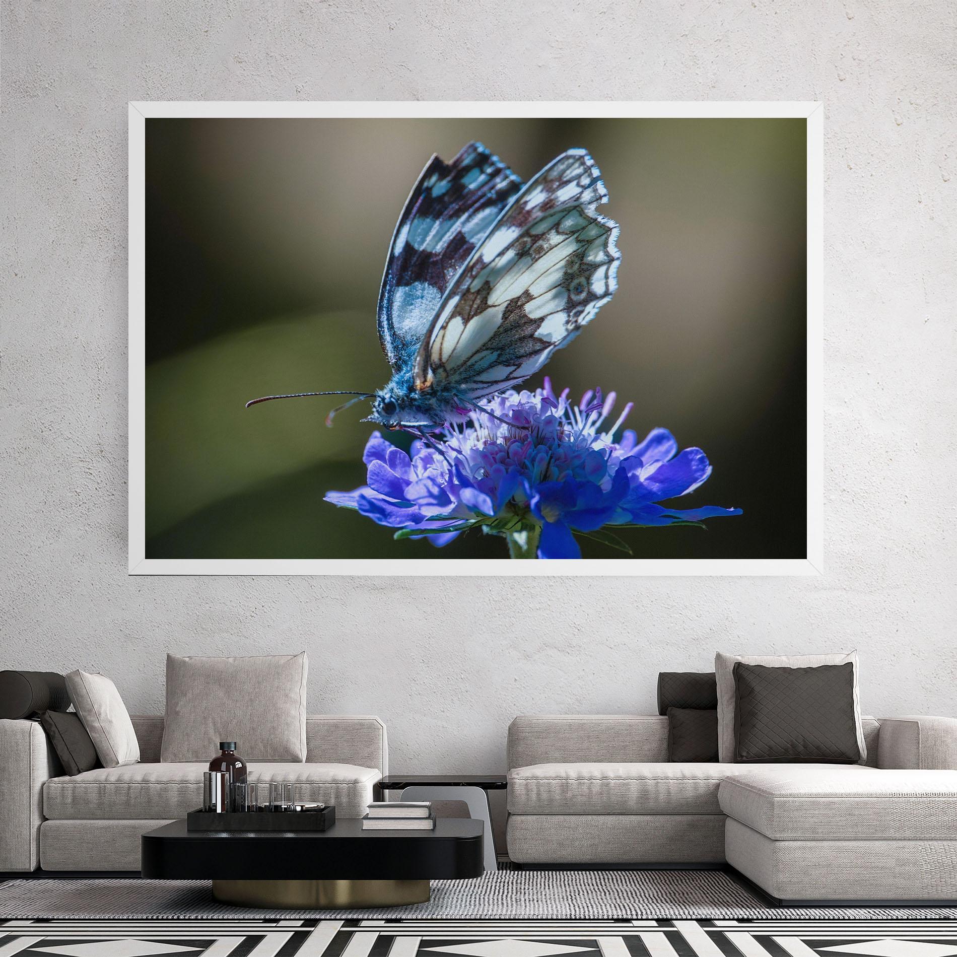 Vászonkép Blue Butterfly In Nature mockup 2