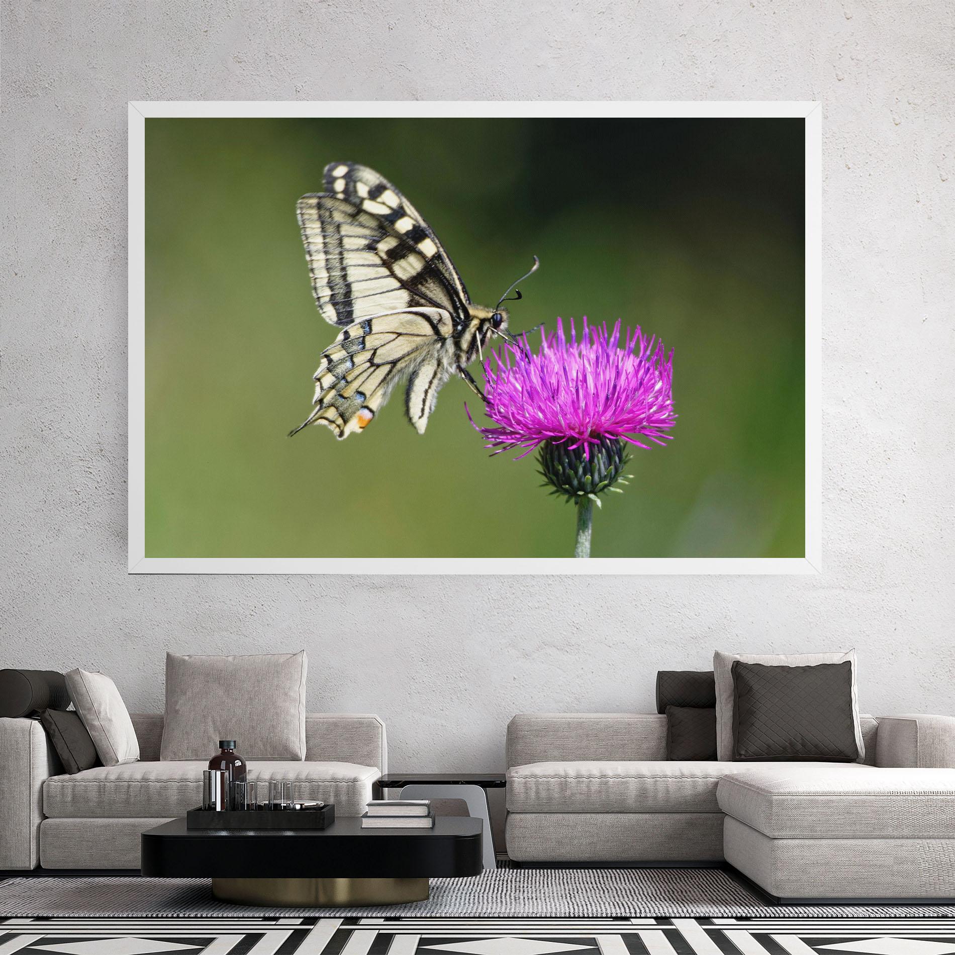 Vászonkép White Butterfly Pollen mockup 2