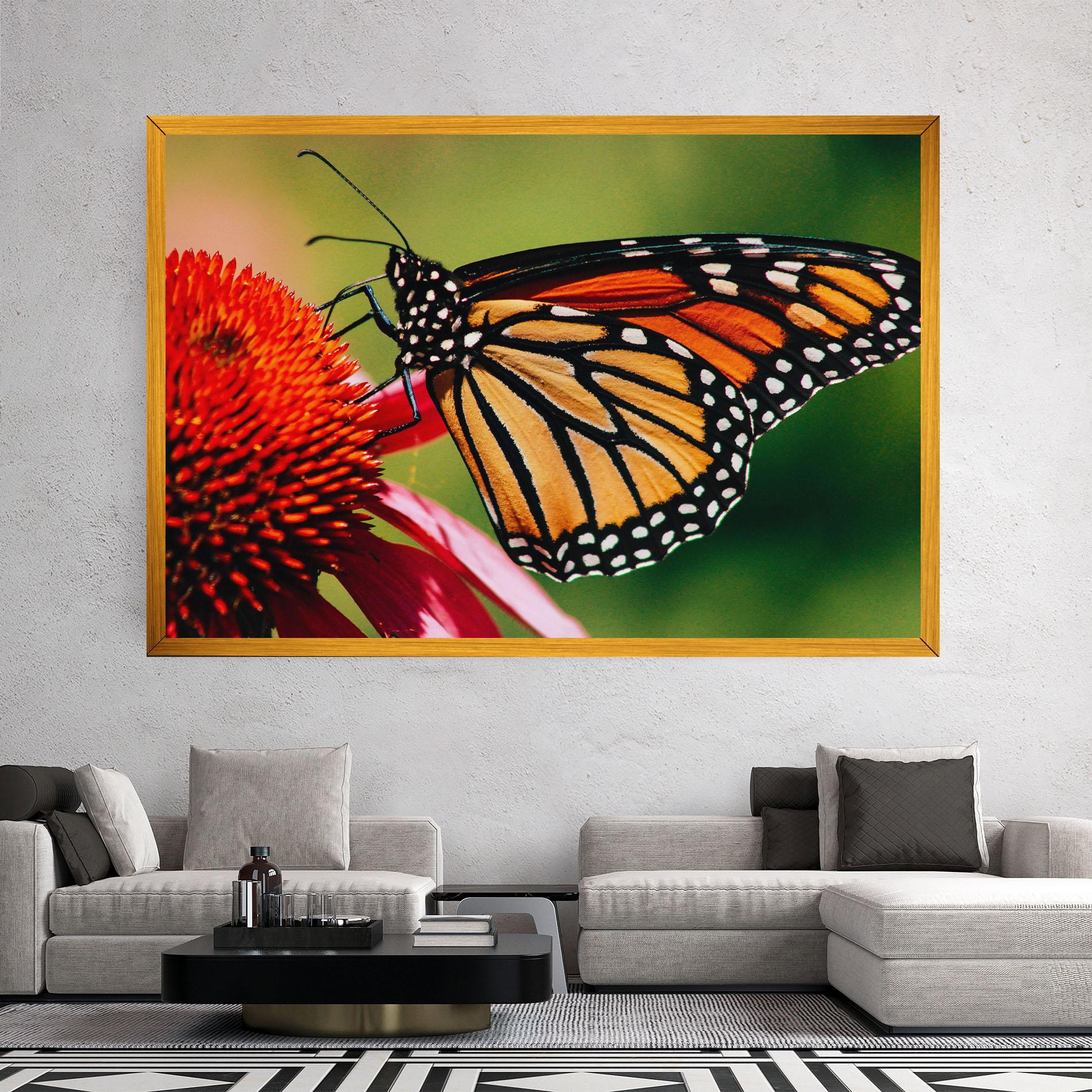 Vászonkép Big Orange Butterfly mockup 2