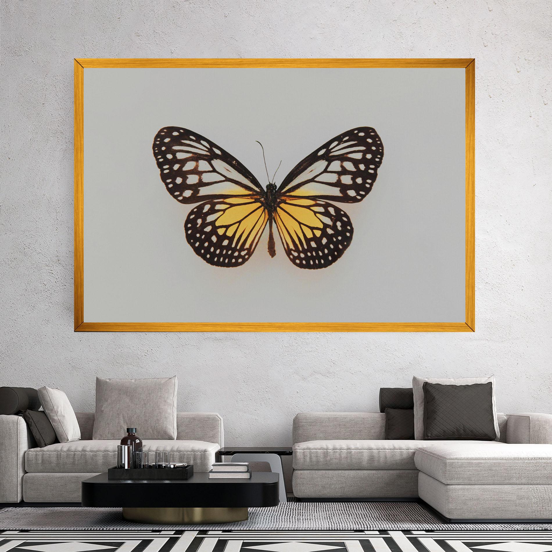 Vászonkép Butterfly On Grey mockup 2